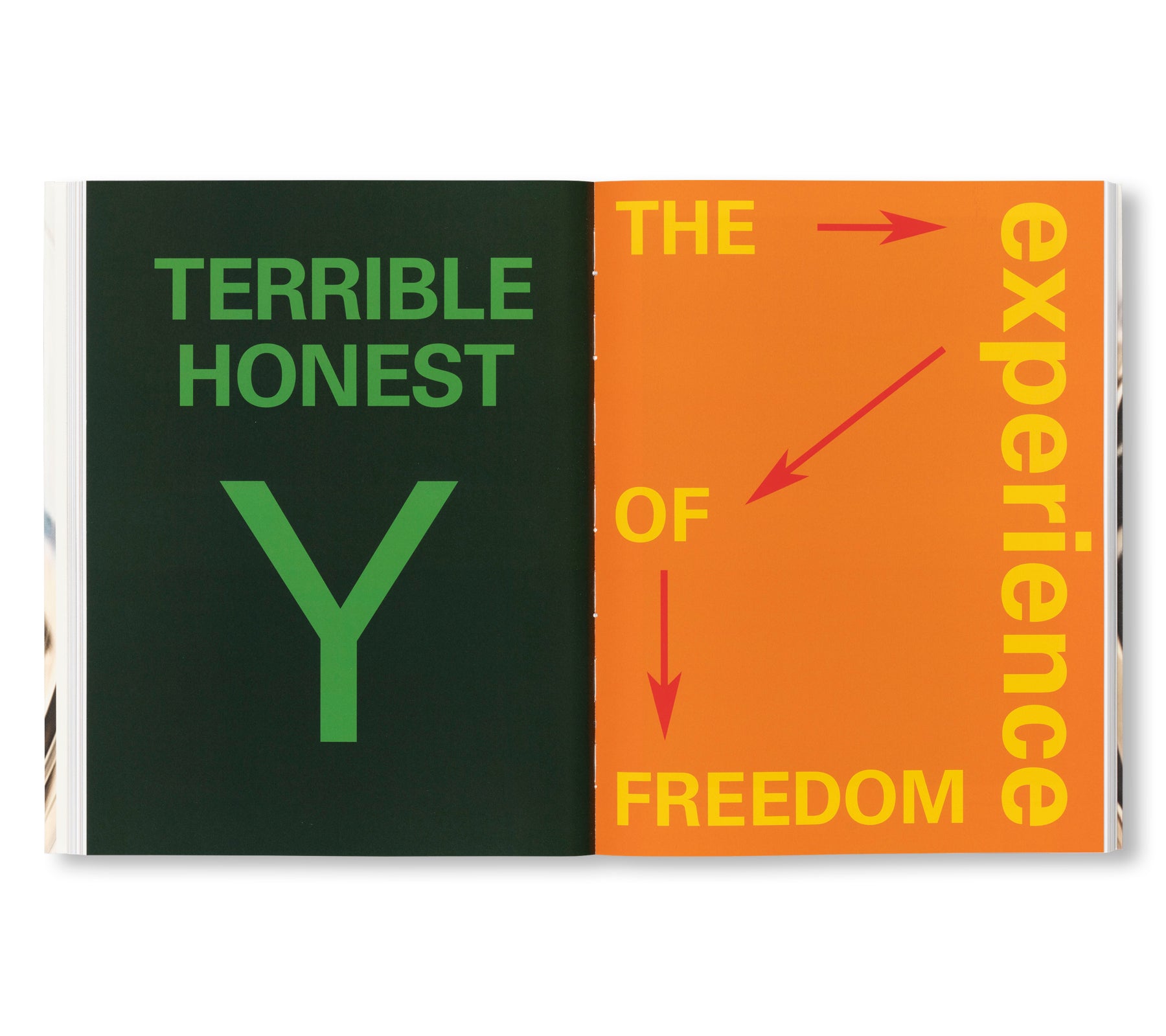 PACING by Renée Green