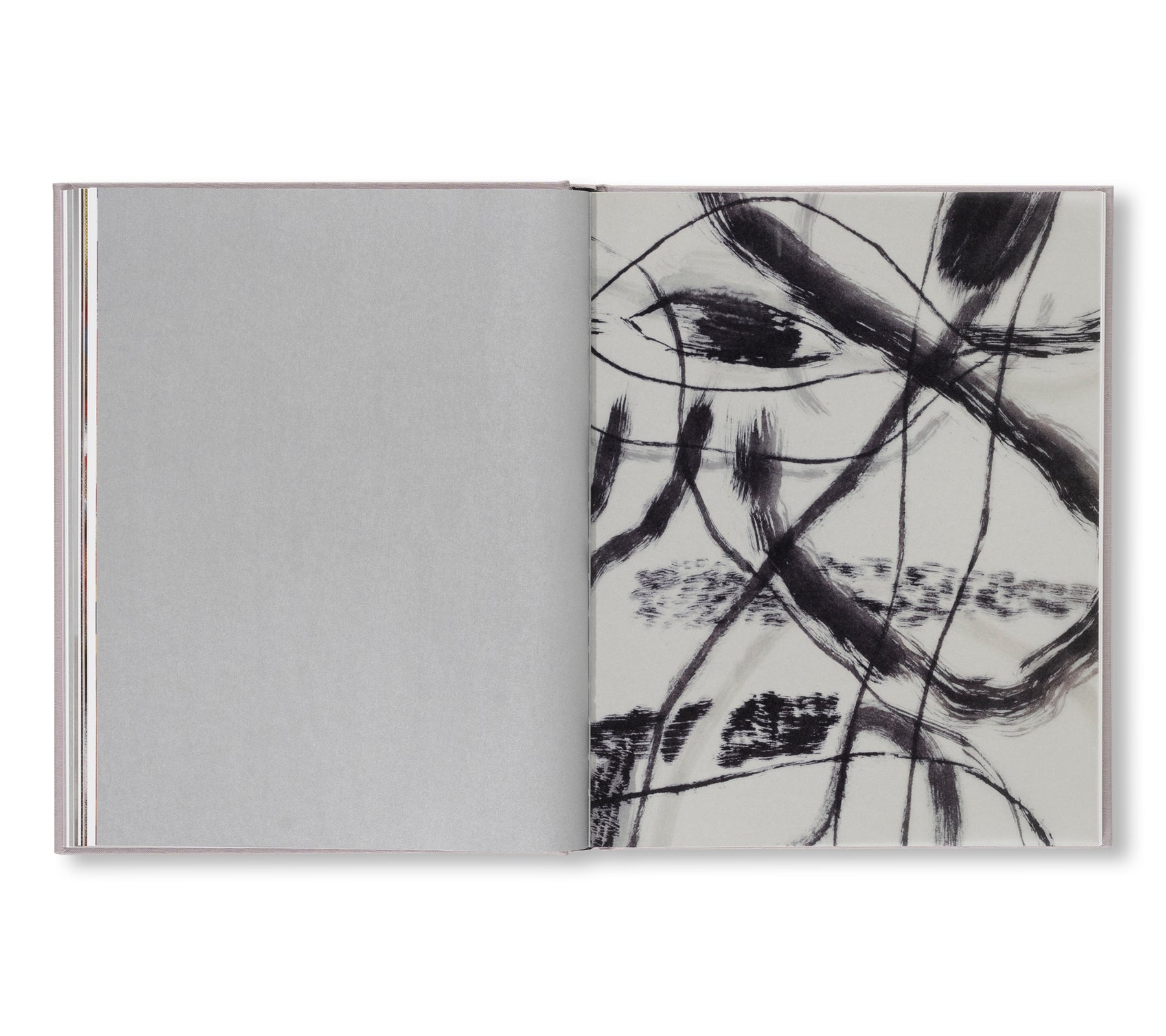 A TRANSCORE OF THE RADICAL IMAGINATORY by Julie Mehretu