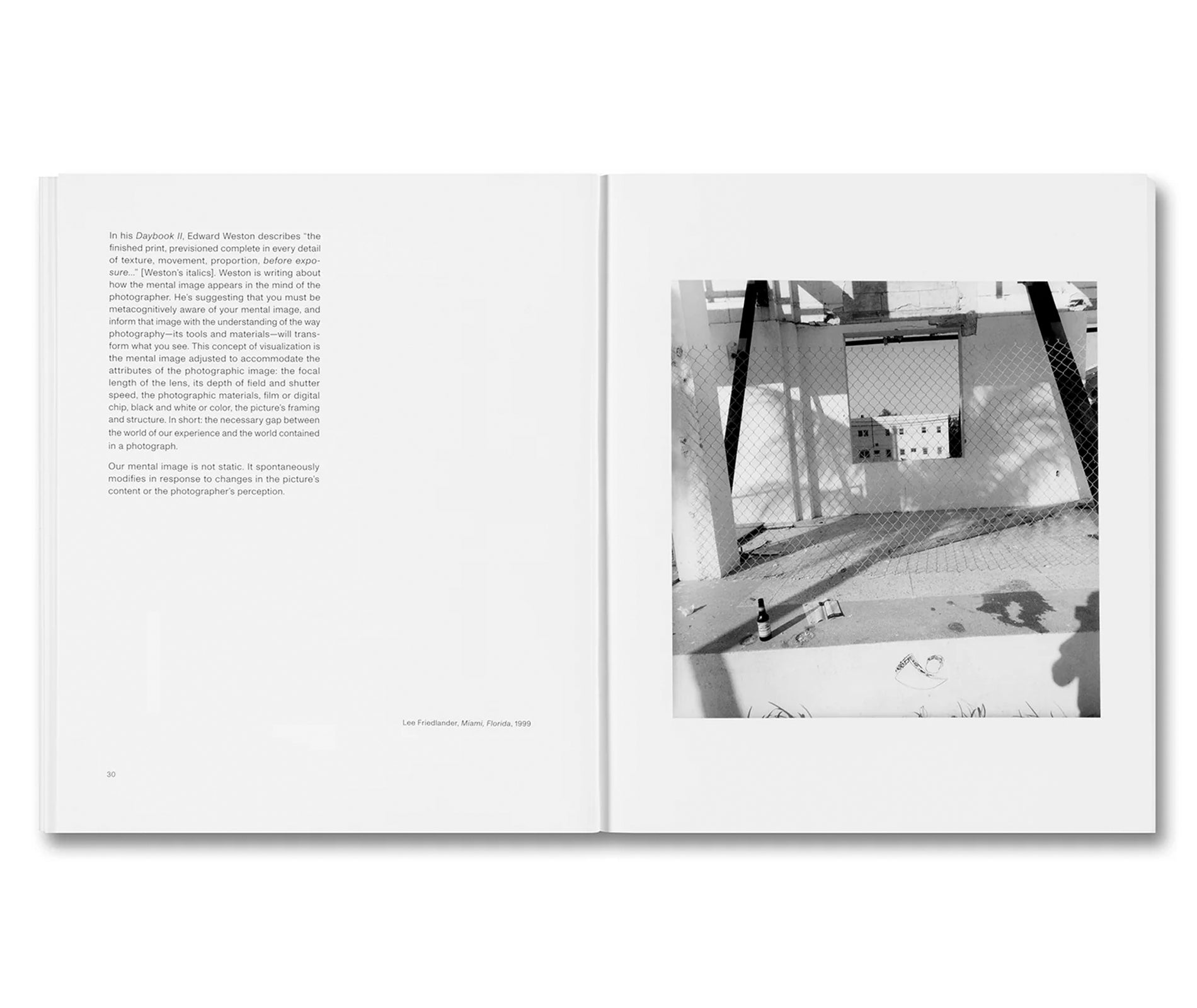 THE MENTAL IMAGE by Stephen Shore
