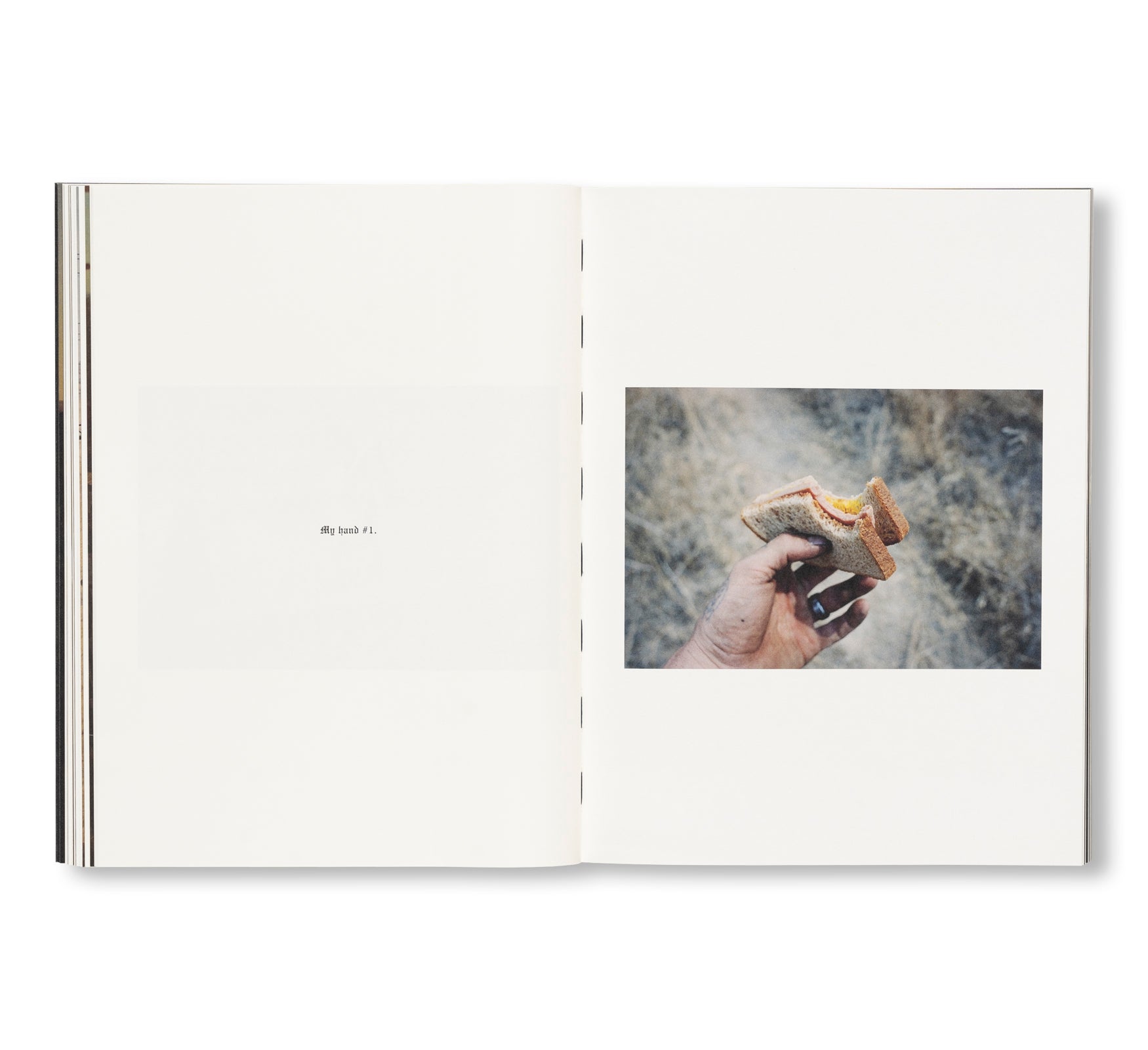 FAILING by Mike Brodie