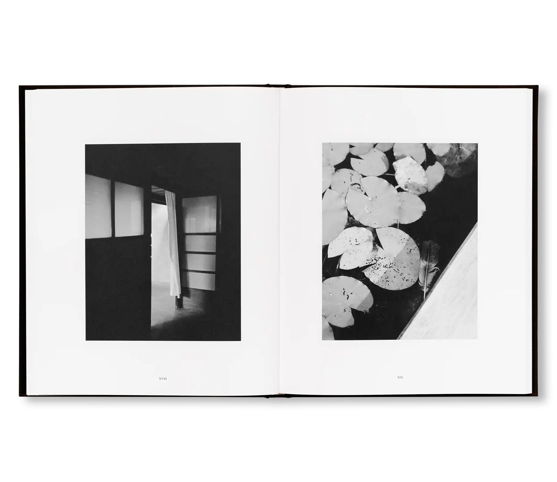 PENUMBRA by Rich Stapleton