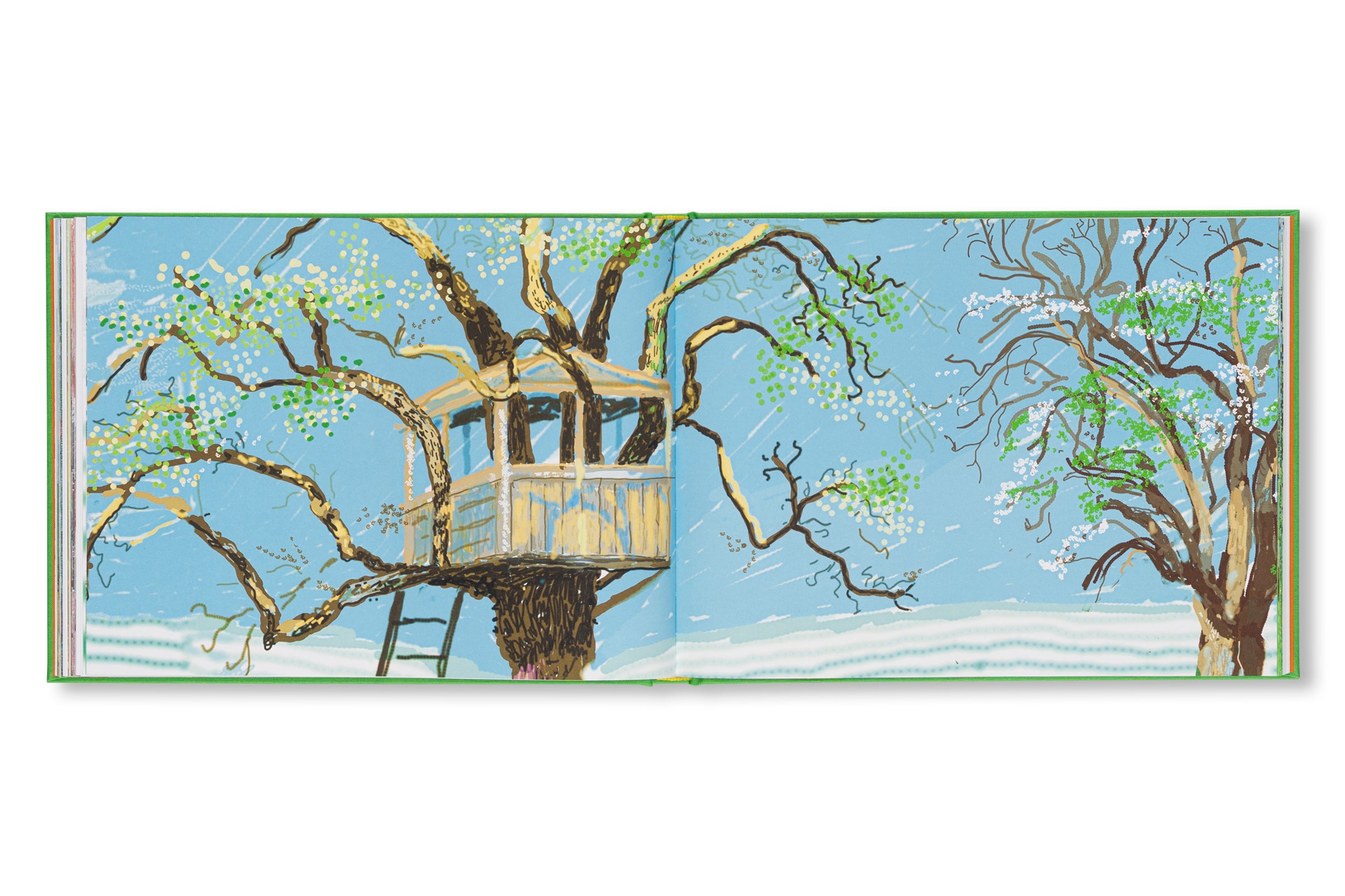 DAVID HOCKNEY: A YEAR IN NORMANDIE AND SOME OTHER THOUGHTS ABOUT PAINTING by David Hockney