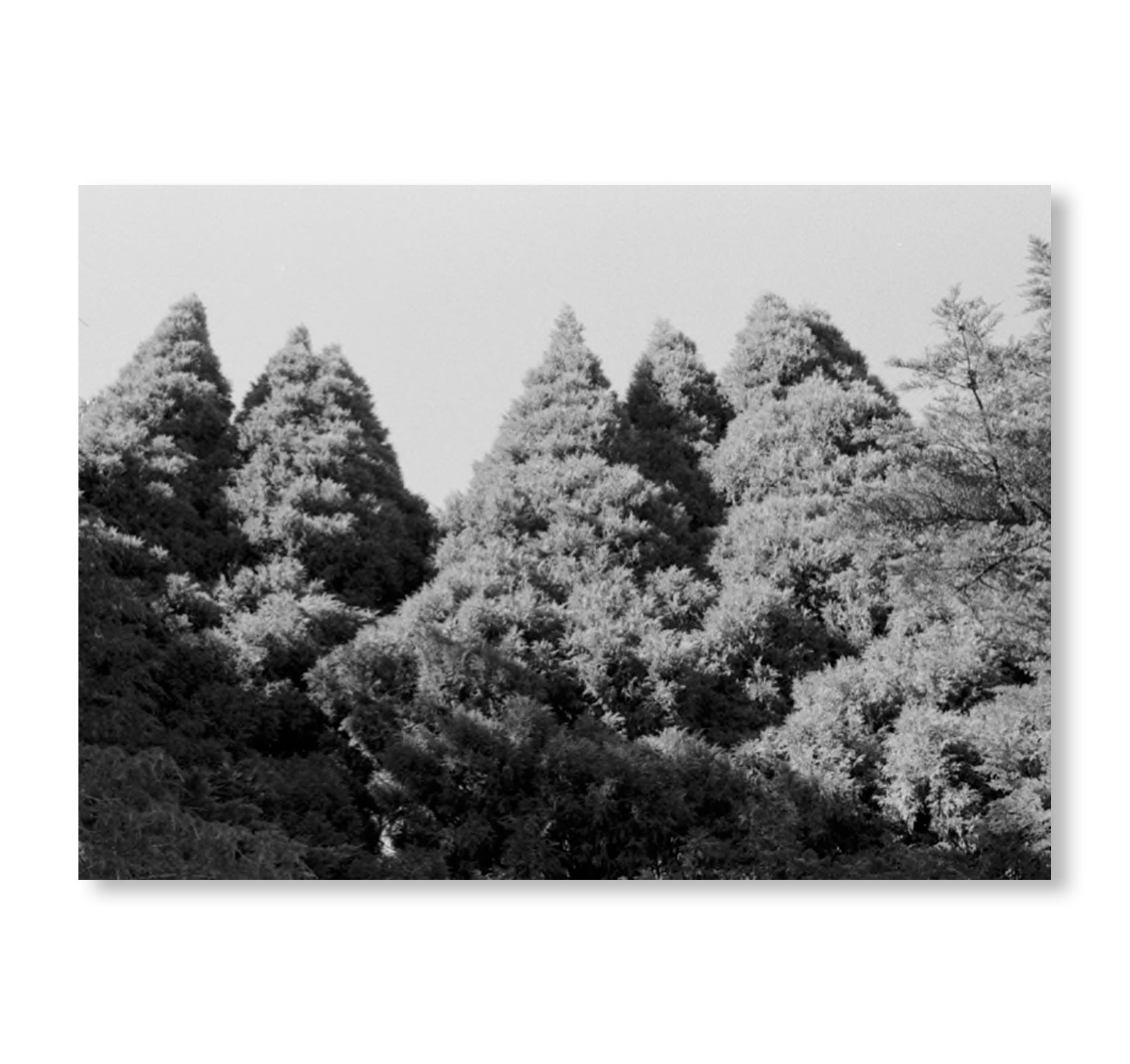 A CONGREGATION OF CLOUDS - A BOX SET OF ZINES BY 8 ARTISTS