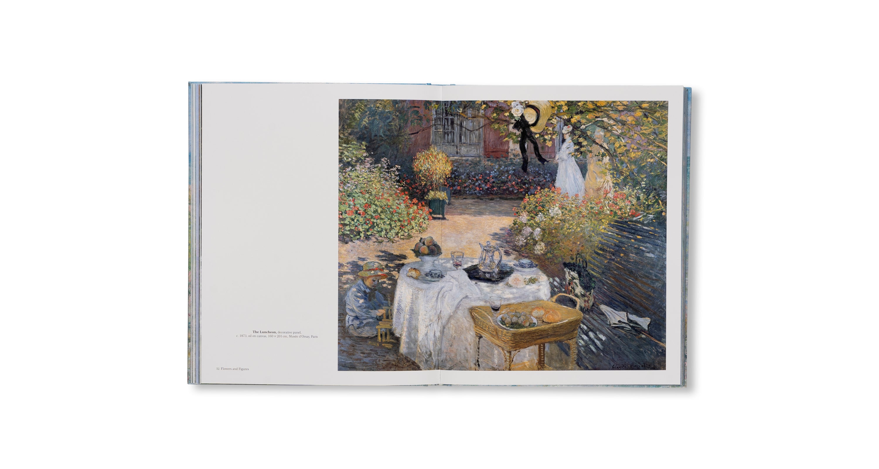 MONET - THE BIGGER PICTURE by Anne Sefrioui