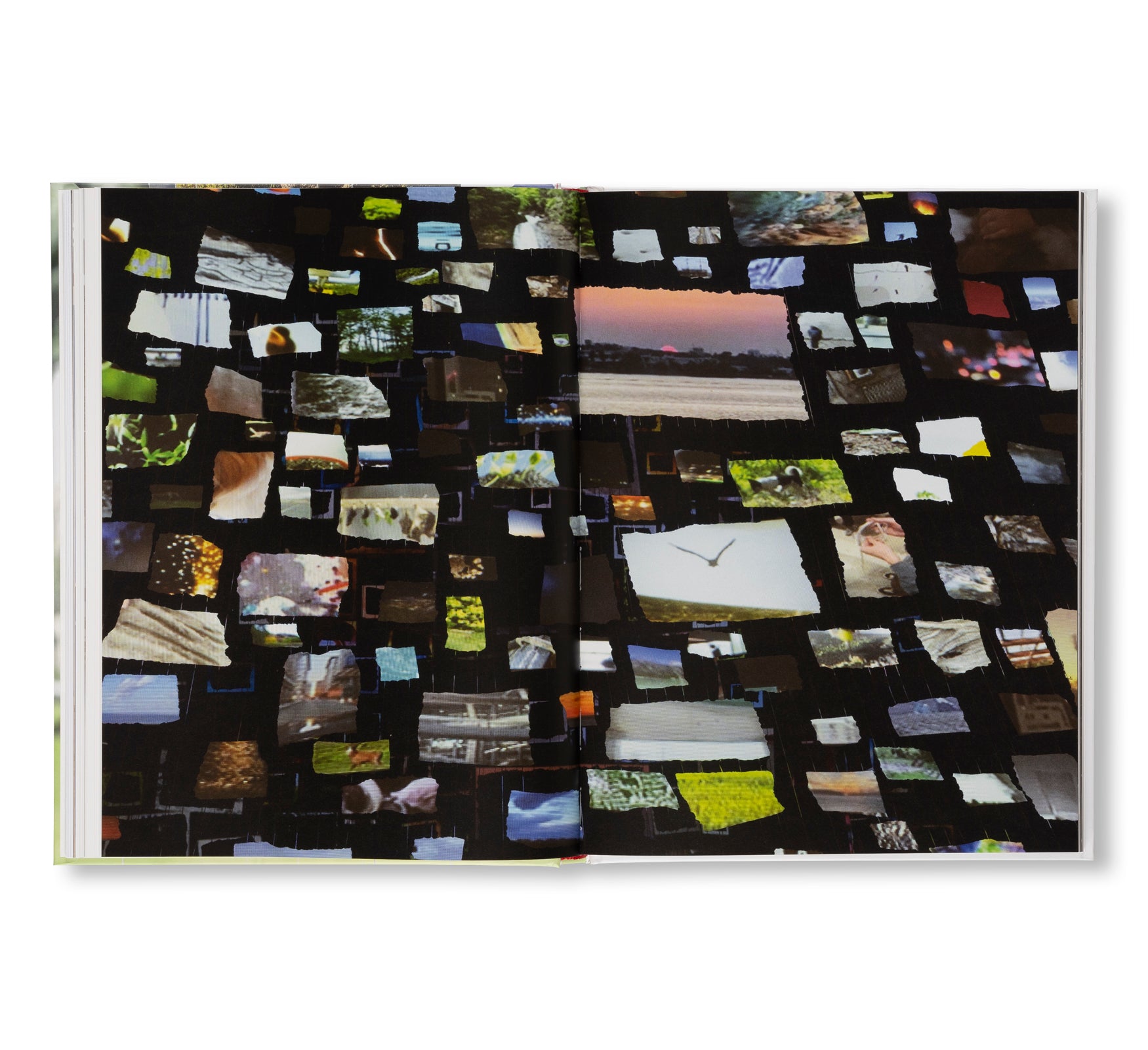 SARAH SZE by Sarah Sze
