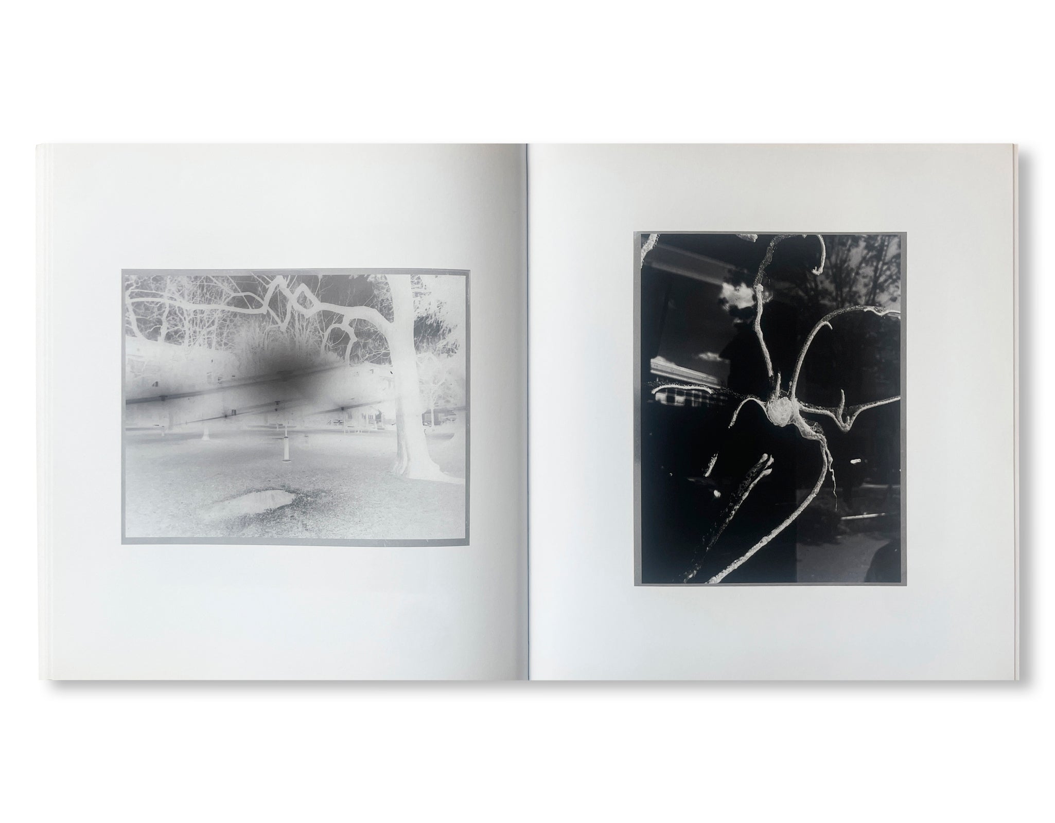 WIR UNGESTALTEN by Peter Fischli