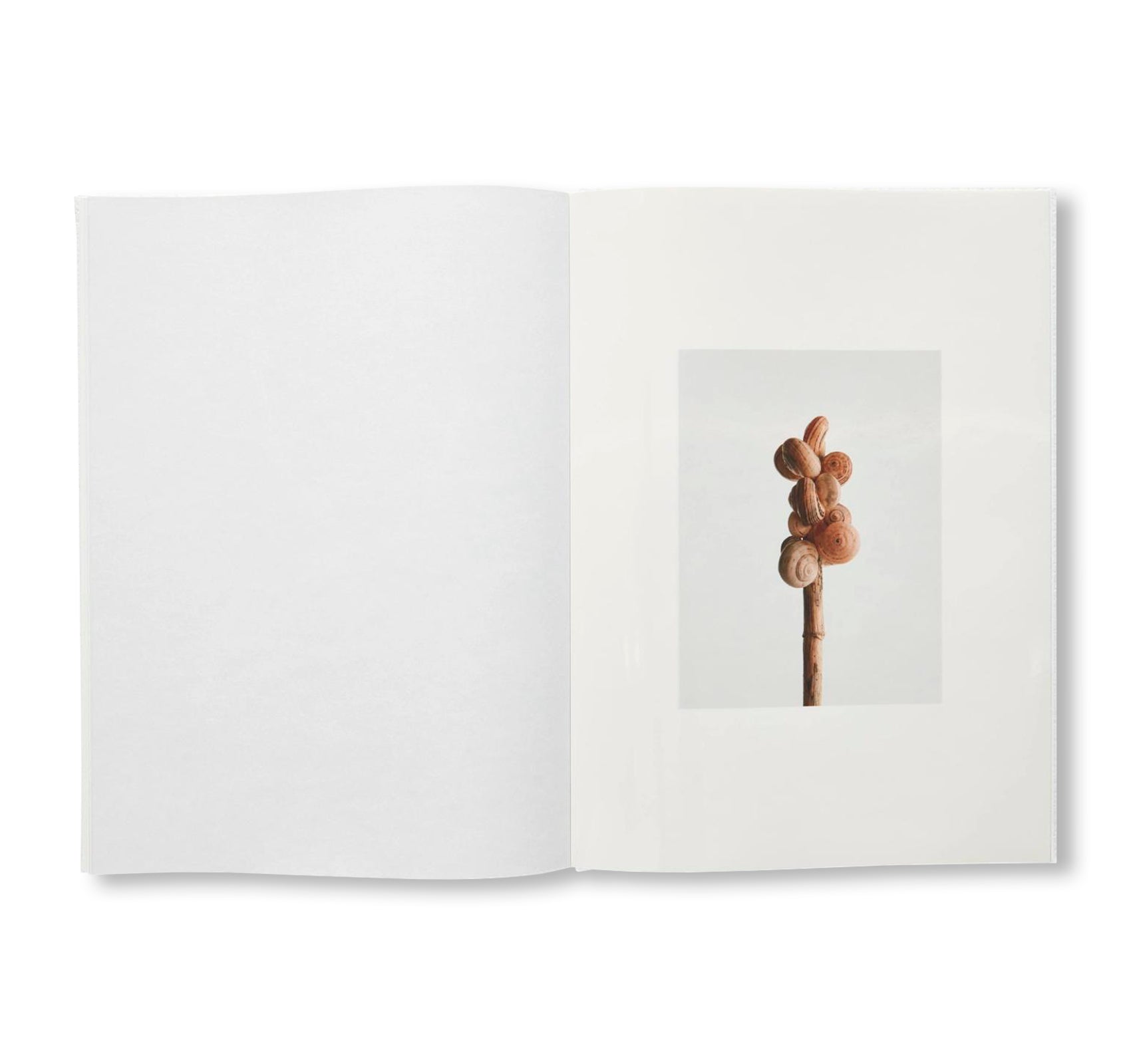 GABORITRONALDHAMILTON by Anthea Hamilton, Delphine Gaborit, Lewis Ronald