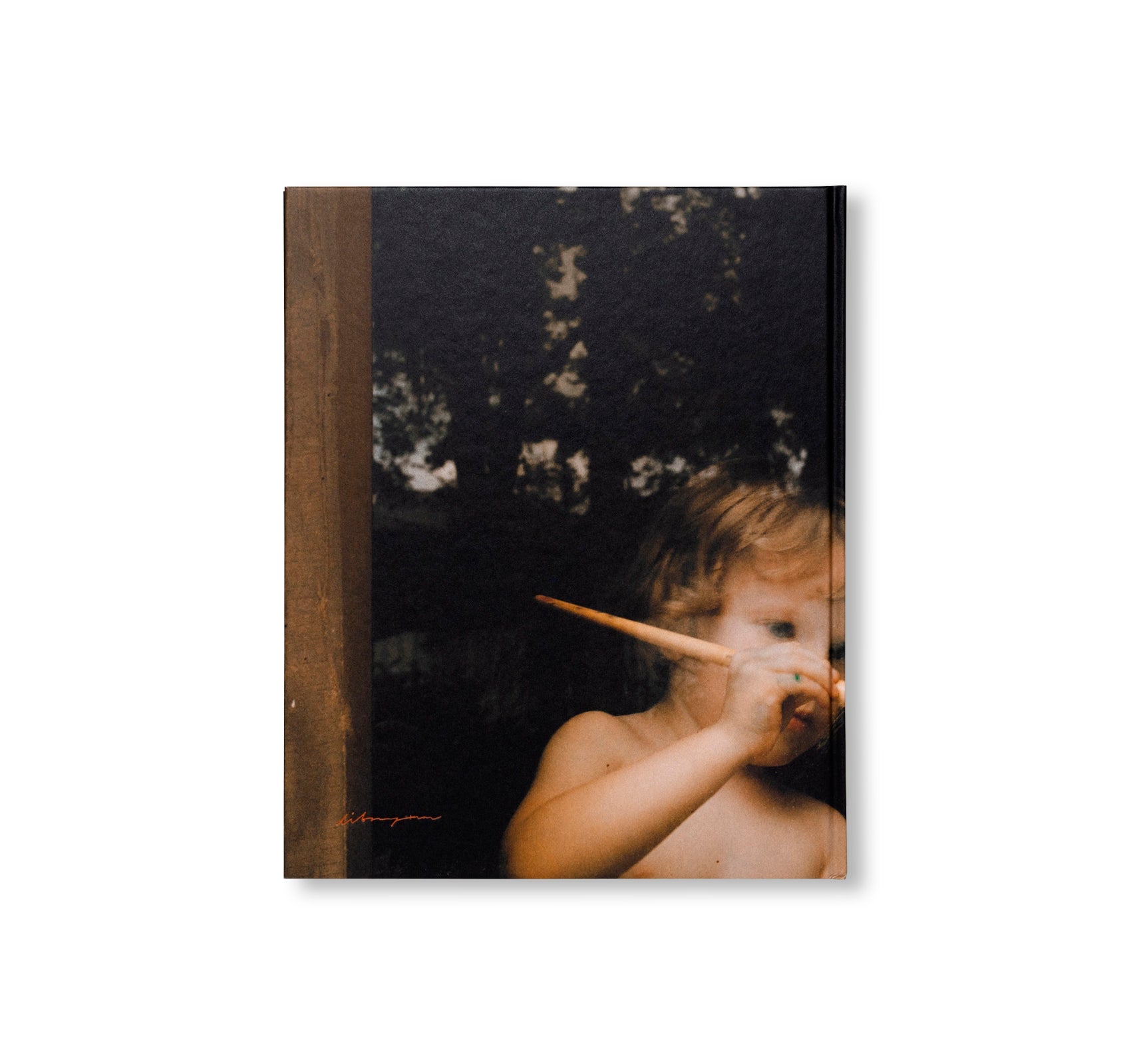 BEHIND GLASS by Lisa Sorgini