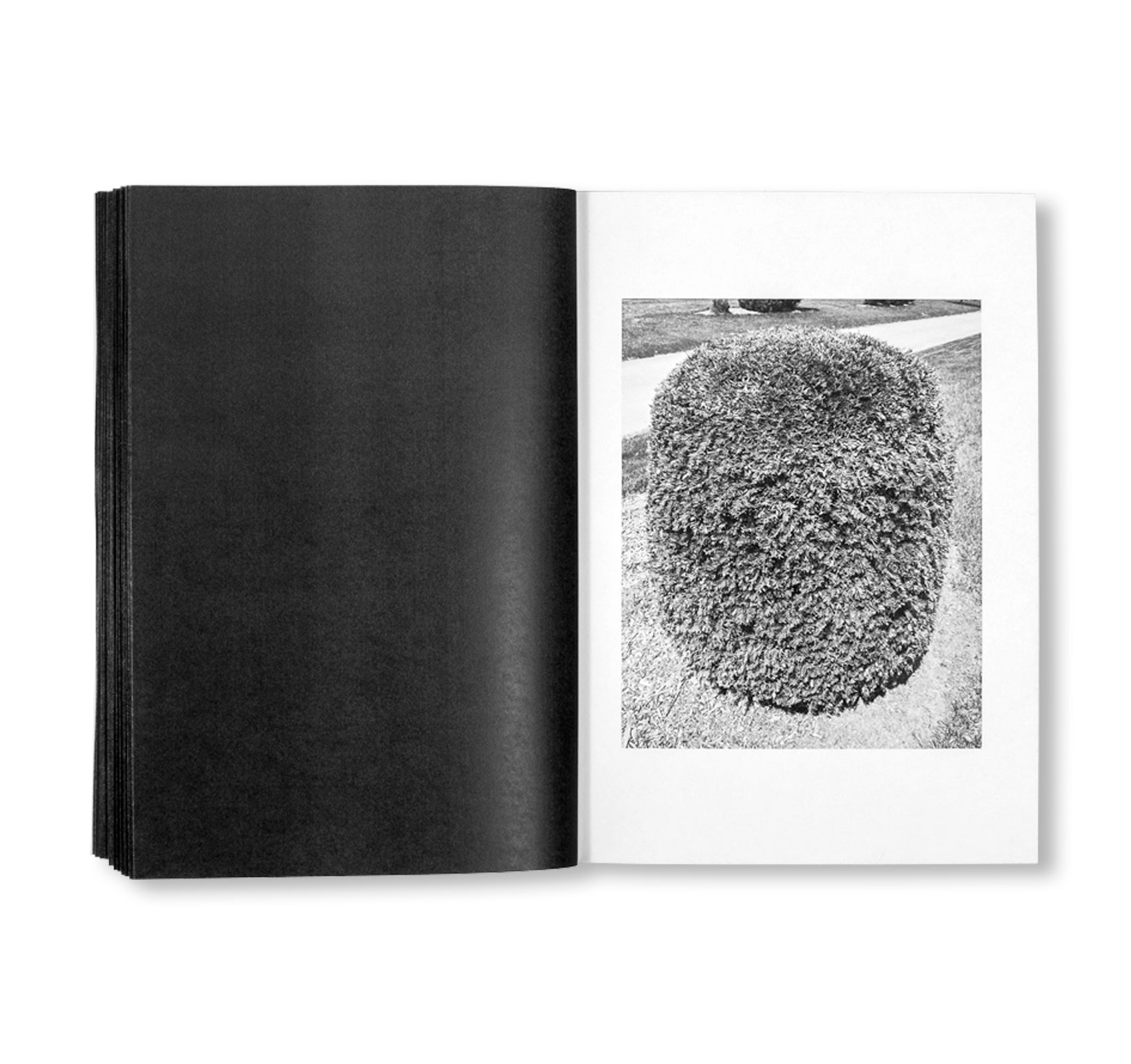 SHRUBS OF DEATH by Mike Slack [ENGLISH COVER / SIGNED]
