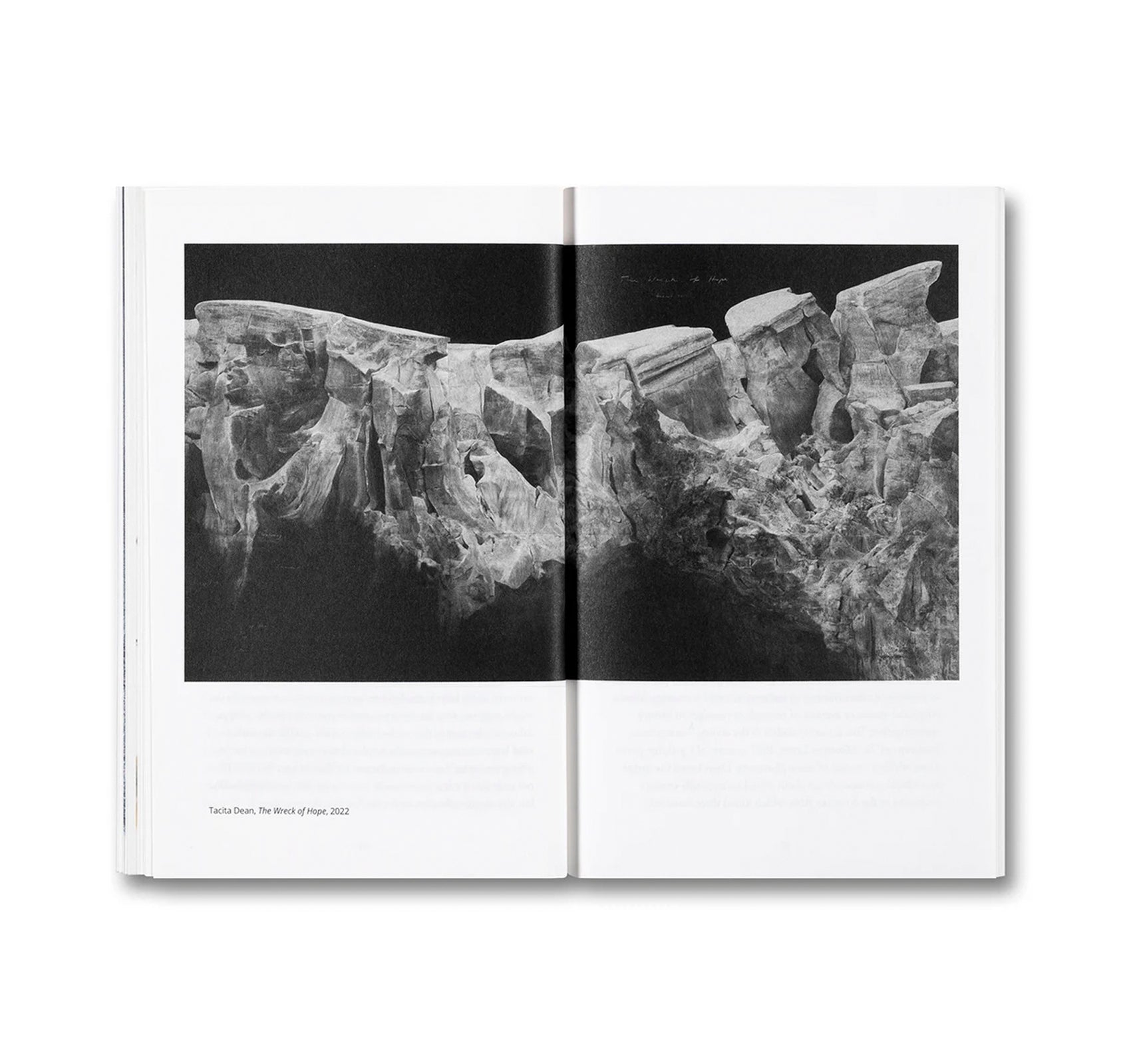 BLIND FOLLY OR HOW TACITA DEAN DRAWS by Michelle White, Tacita Dean