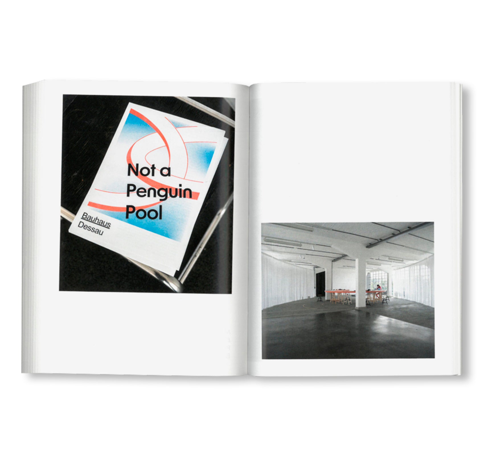 BAUHAUS TASCHENBUCH 28 - NOT A PENGUIN POOL: ECHOES OF MORE-THAN-HUMAN ENTANGLEMENTS by Stiftung Bauhaus Dessau