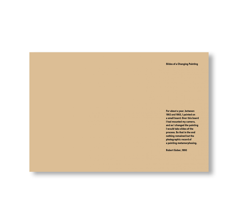 SLIDES OF A CHANGING PAINTING by Robert Gober