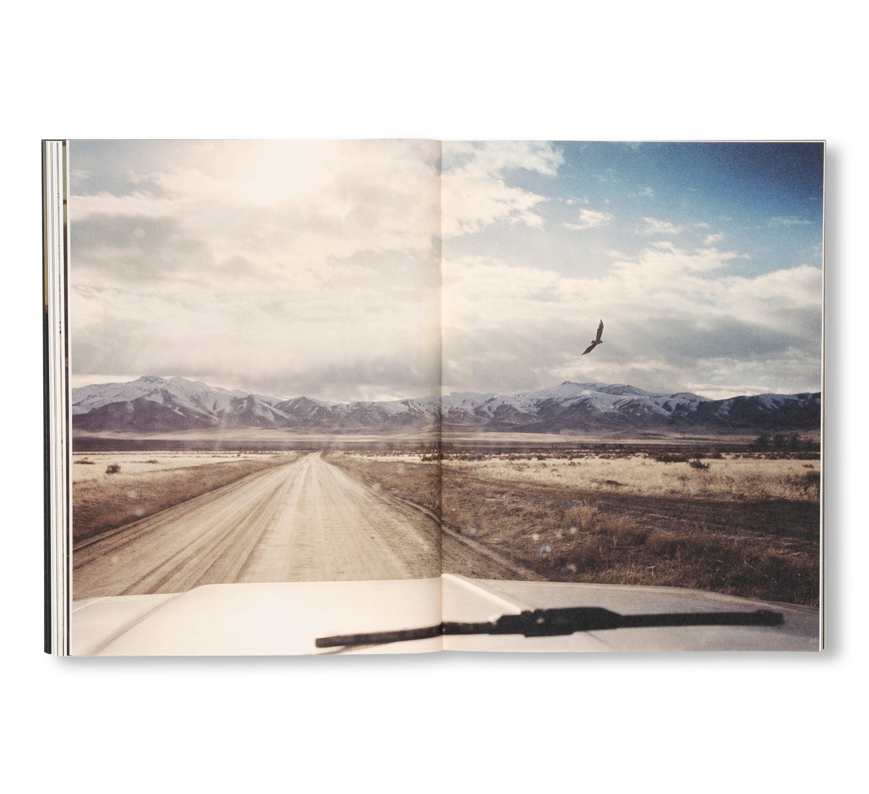 FAILING by Mike Brodie