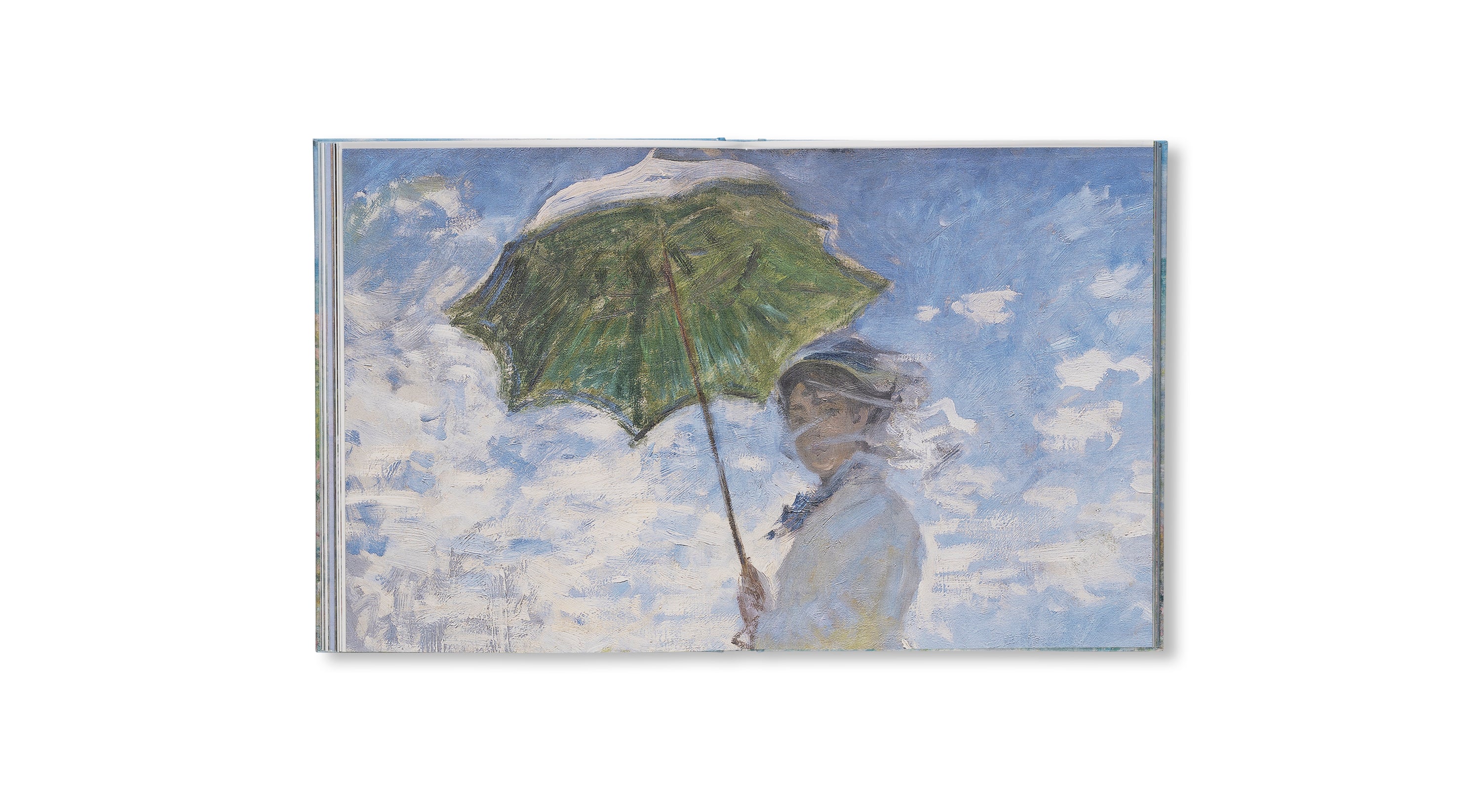 MONET - THE BIGGER PICTURE by Anne Sefrioui