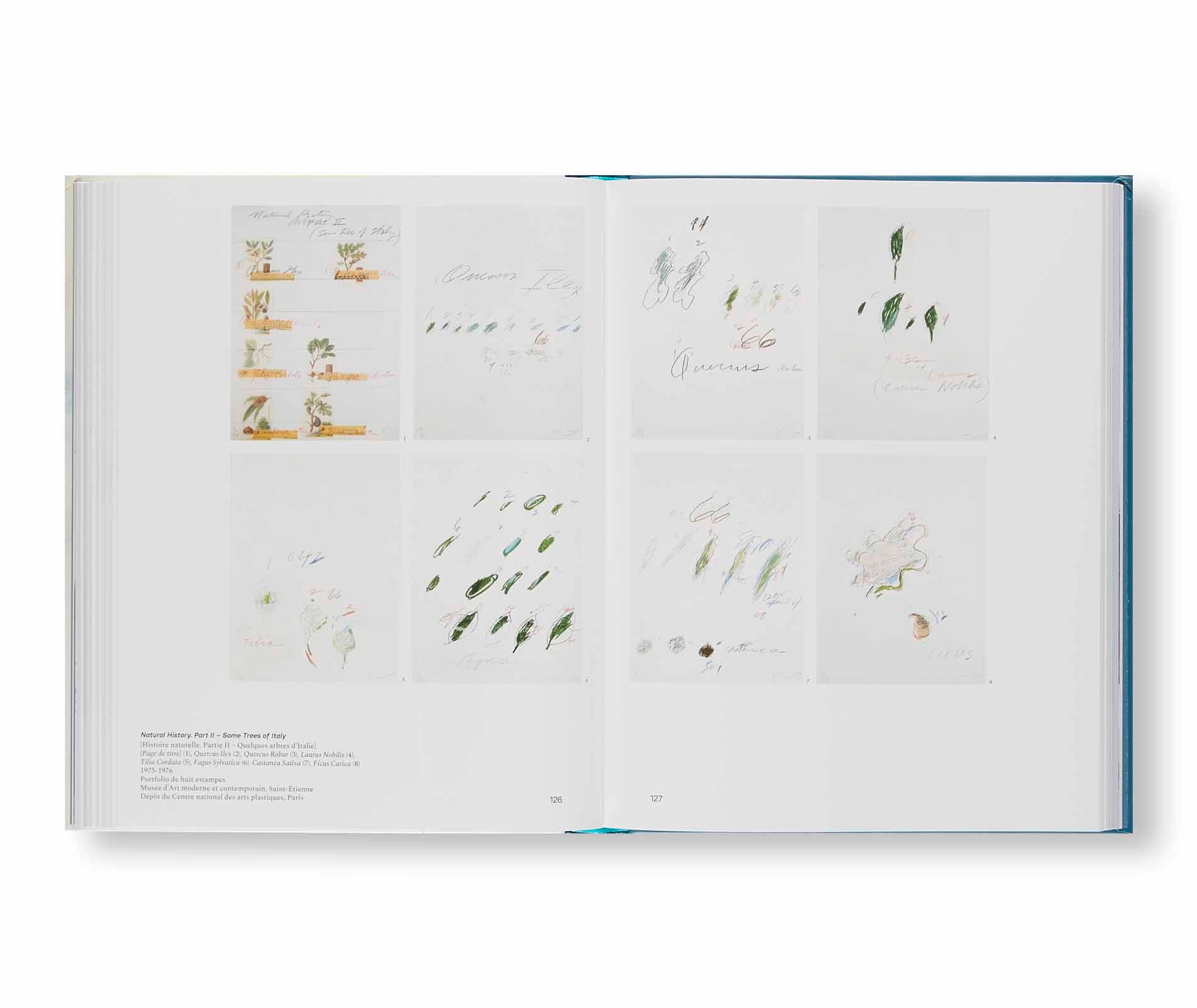 CY TWOMBLY. ŒUVRES GRAPHIQUES (1973-1977) by Cy Twombly