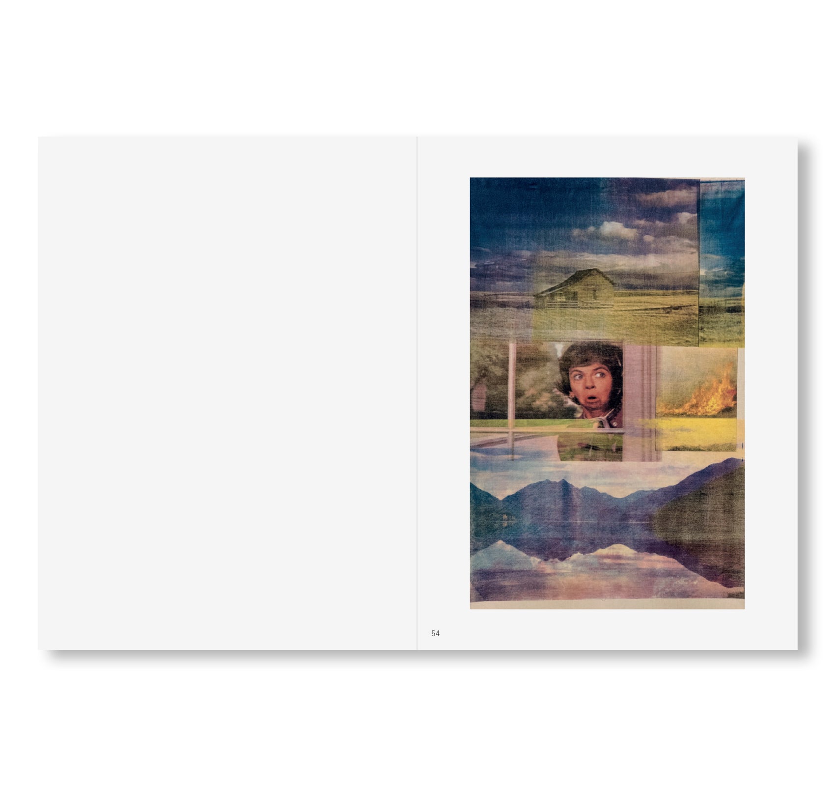 PAINTINGS by Gus Van Sant [ENGLISH EDITION]