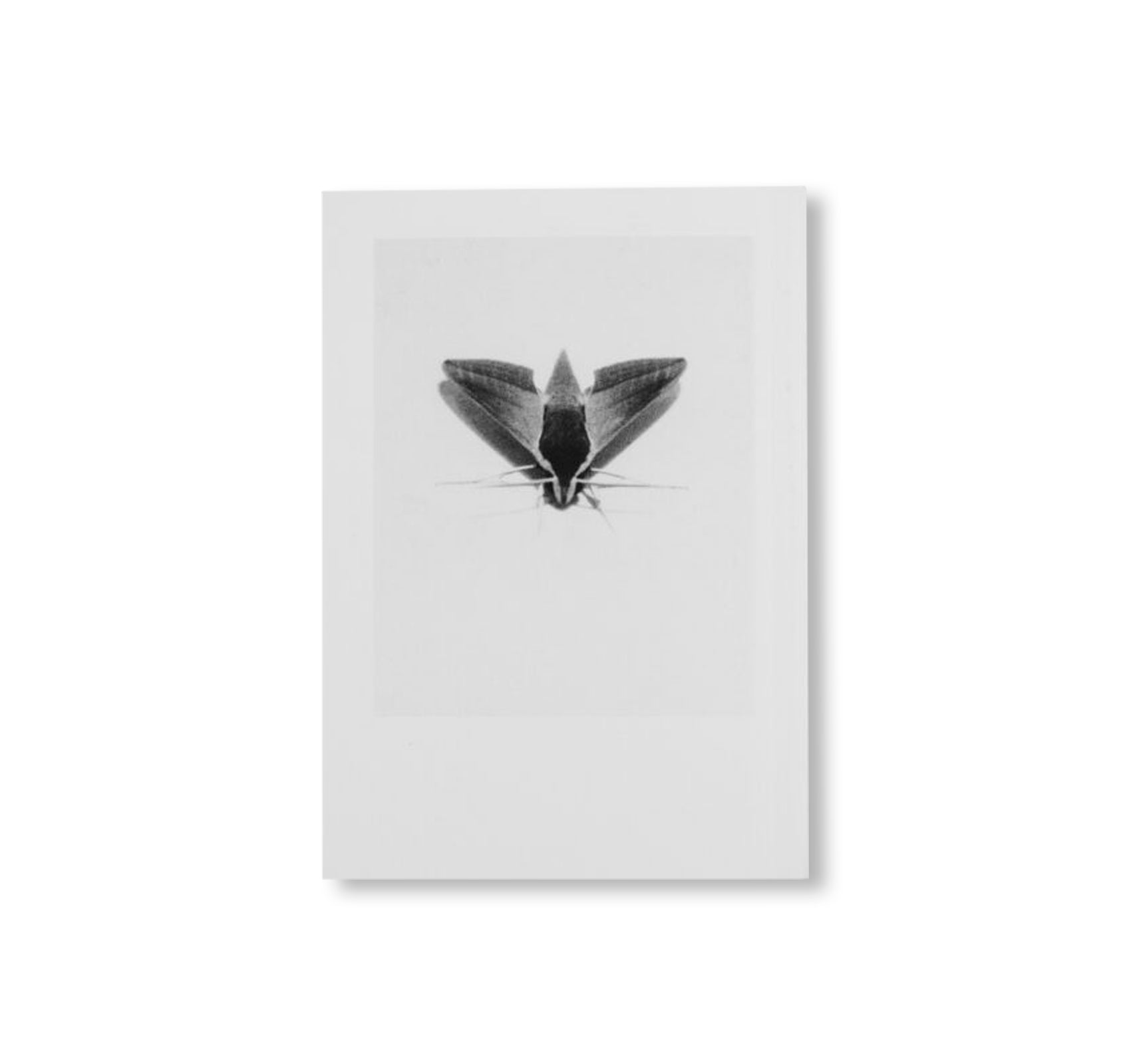 LOCAL ECOLOGY. KASTELLORIZO by Jochen Lempert