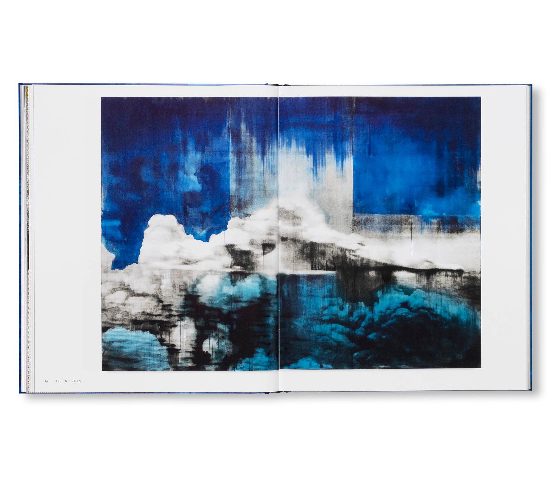 SOURCE NOTES by Lorna Simpson