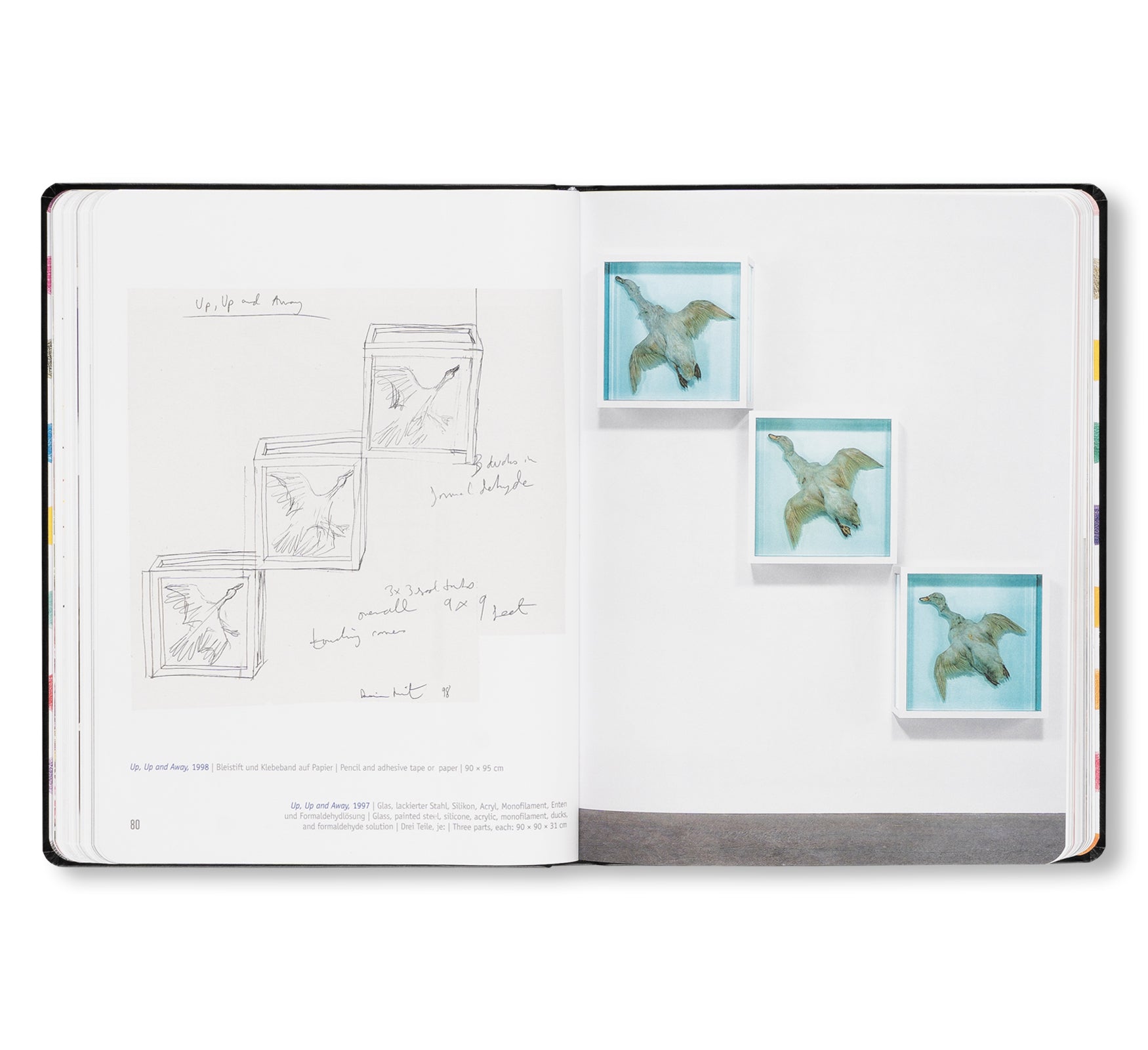 DAMIEN HIRST - DRAWINGS by Damien Hirst