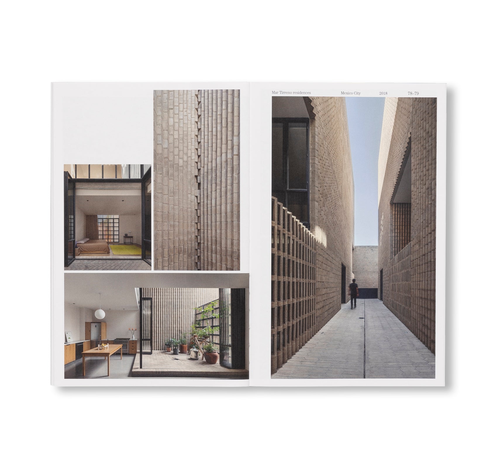 SUSPENDED MOMENT: THE ARCHITECTURE OF FRIDA ESCOBEDO by Frida Escobedo [ENGLISH EDITION]