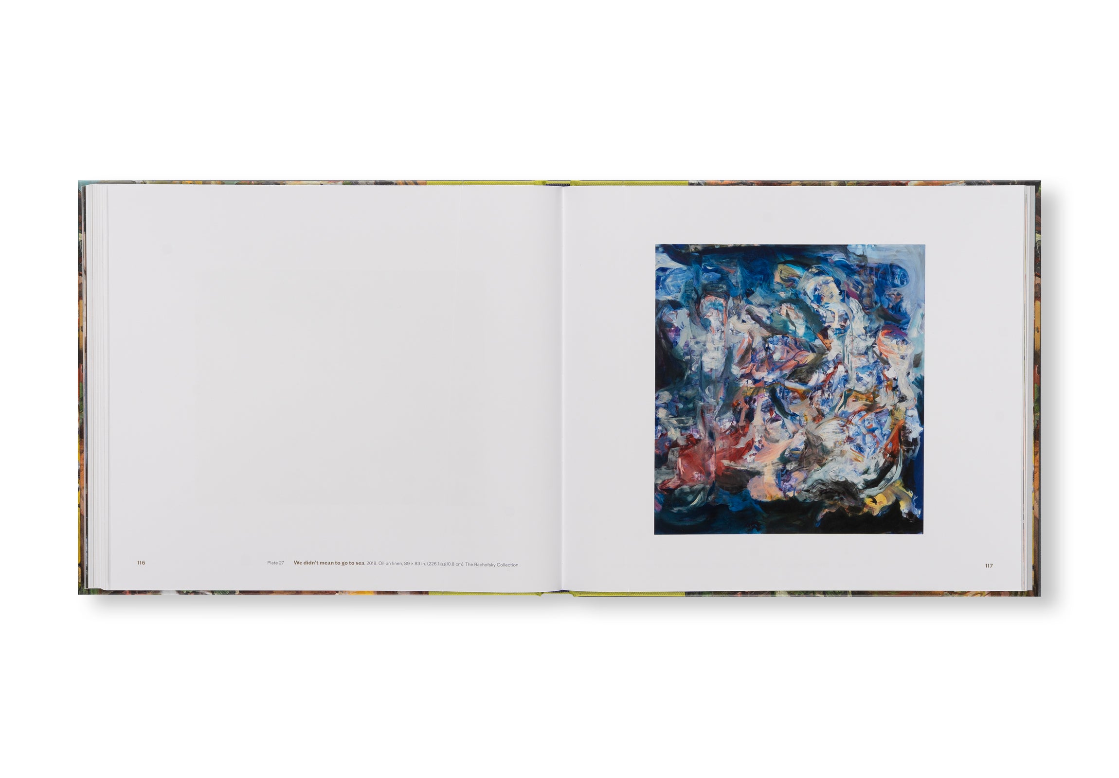 THEMES & VARIATIONS by Cecily Brown