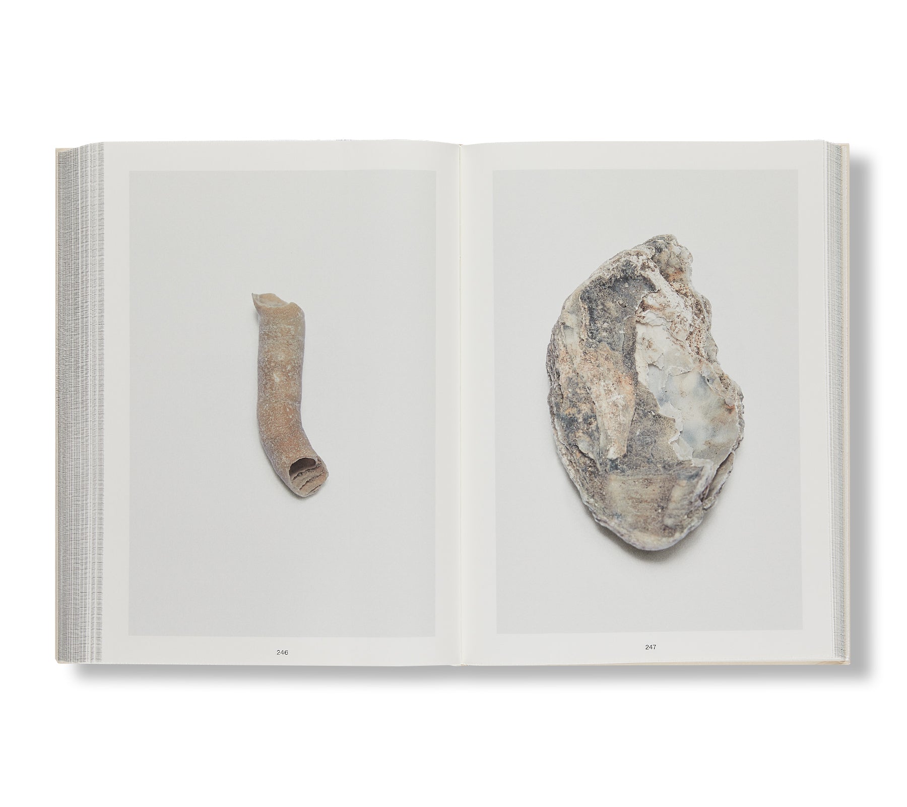 SHELL READER by Nina Canell