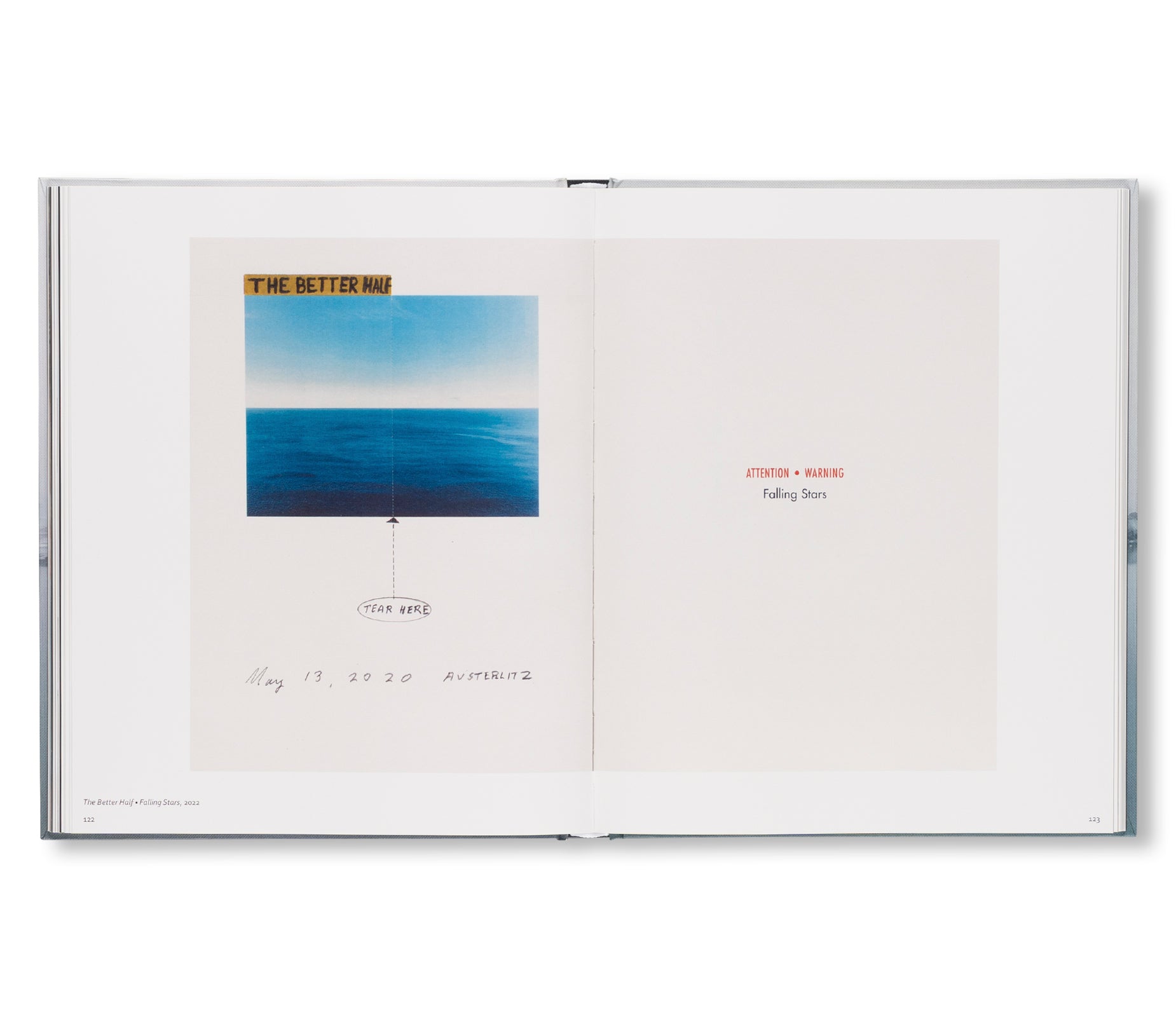 RONI HORN: WATER WATER ON THE WALL, YOU’RE THE FAIREST OF THEM ALL by Roni Horn