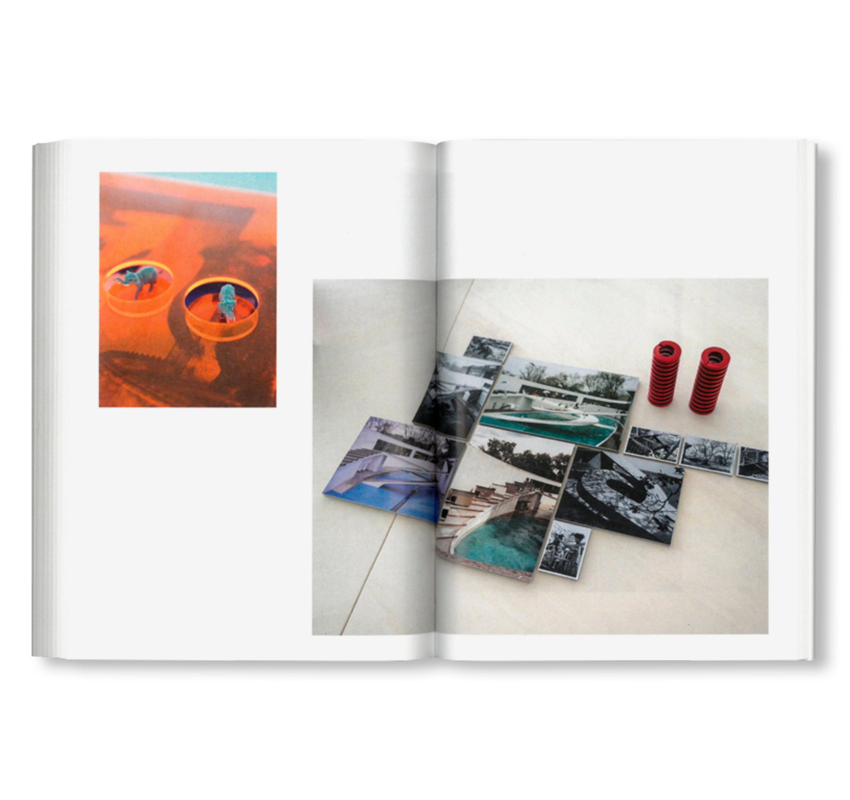 BAUHAUS TASCHENBUCH 28 - NOT A PENGUIN POOL: ECHOES OF MORE-THAN-HUMAN ENTANGLEMENTS by Stiftung Bauhaus Dessau