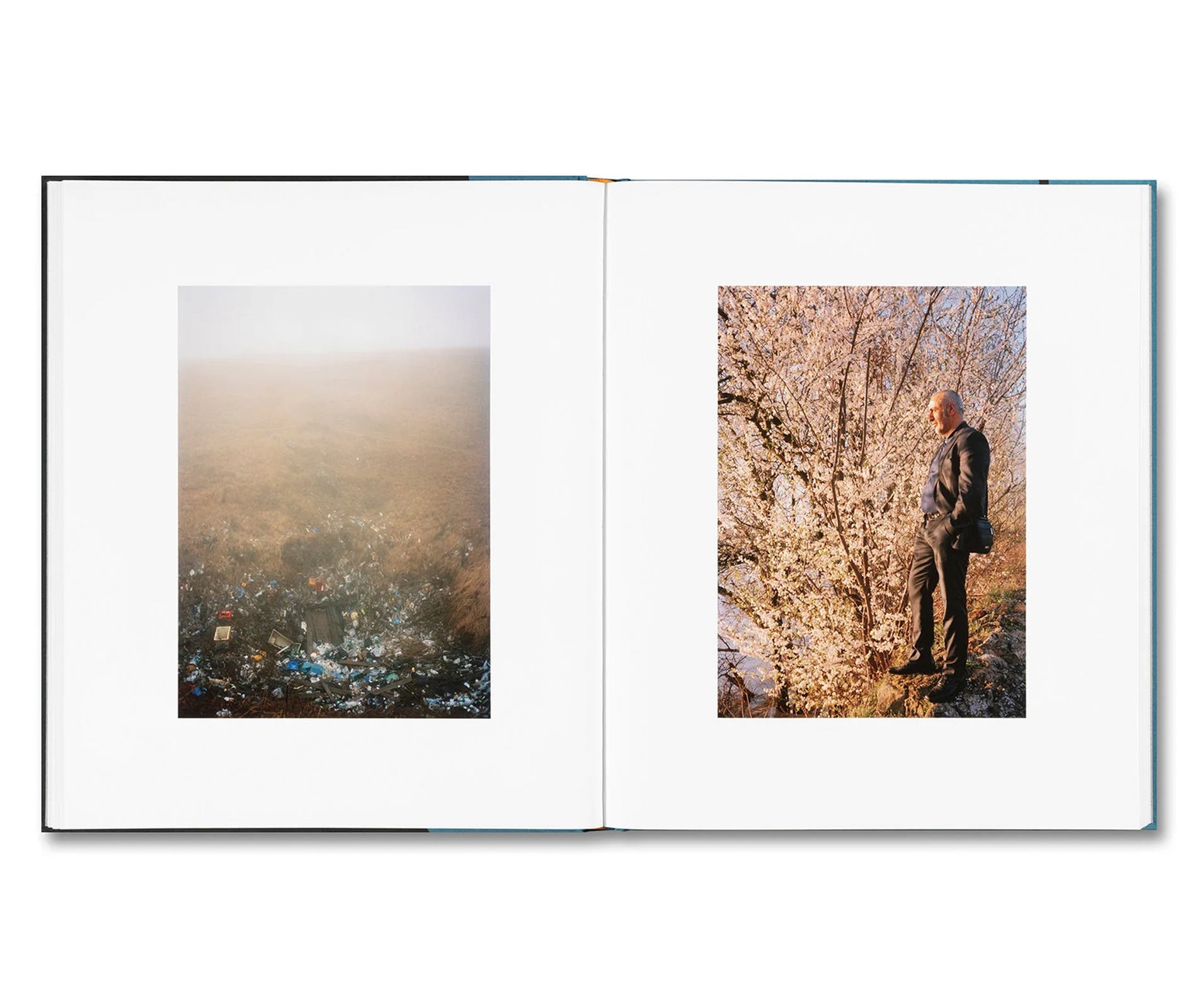 MOUNTAIN BLACK HEART by Irina Rozovsky [SIGNED]
