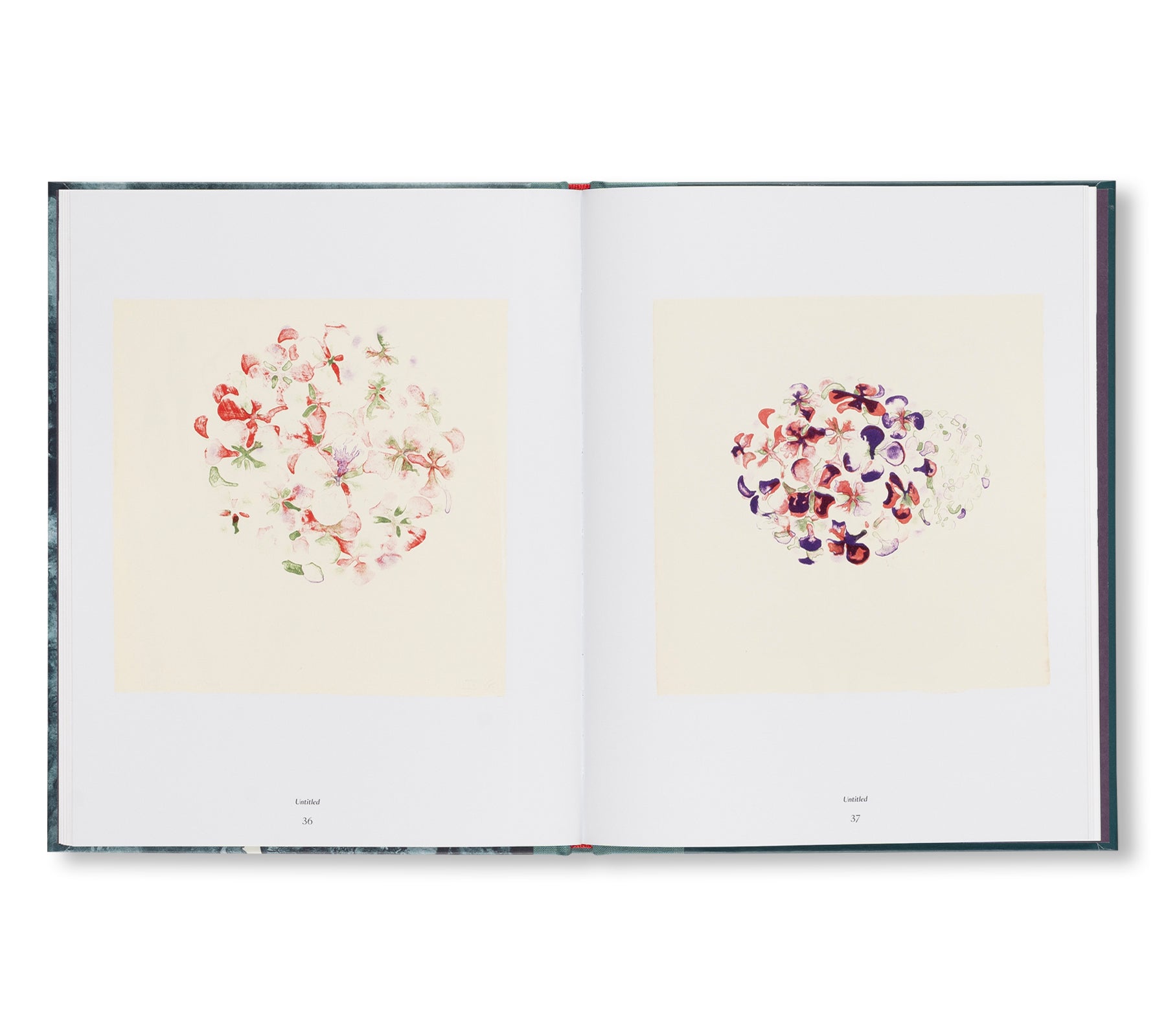 THE TAMARIND PRINTS by Ruth Asawa