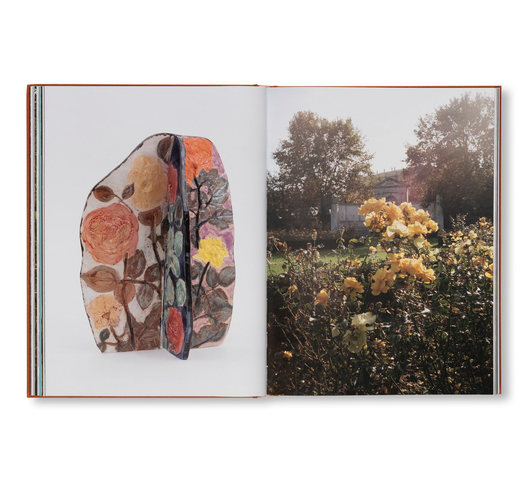 AFTER LIFE by Sam Falls