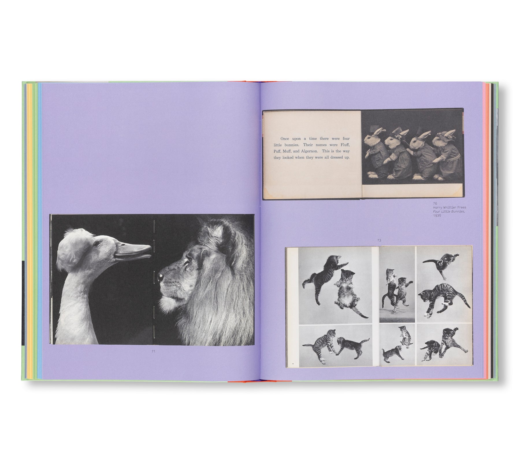 L IS FOR LOOK - CHILDREN’S PHOTOBOOKS