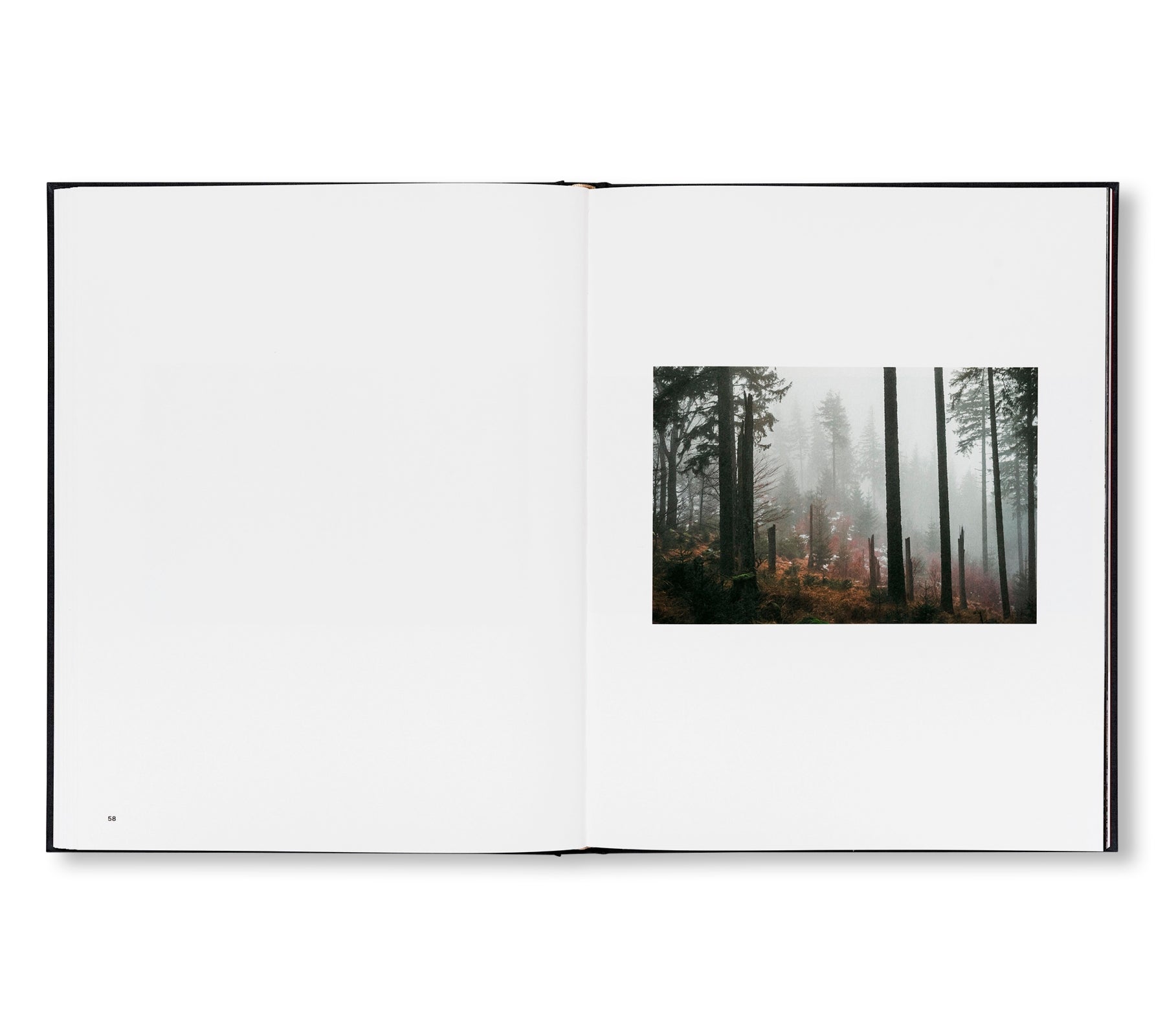 THE ENCOUNTER by Stéphan Crasneanscki [SIGNED]