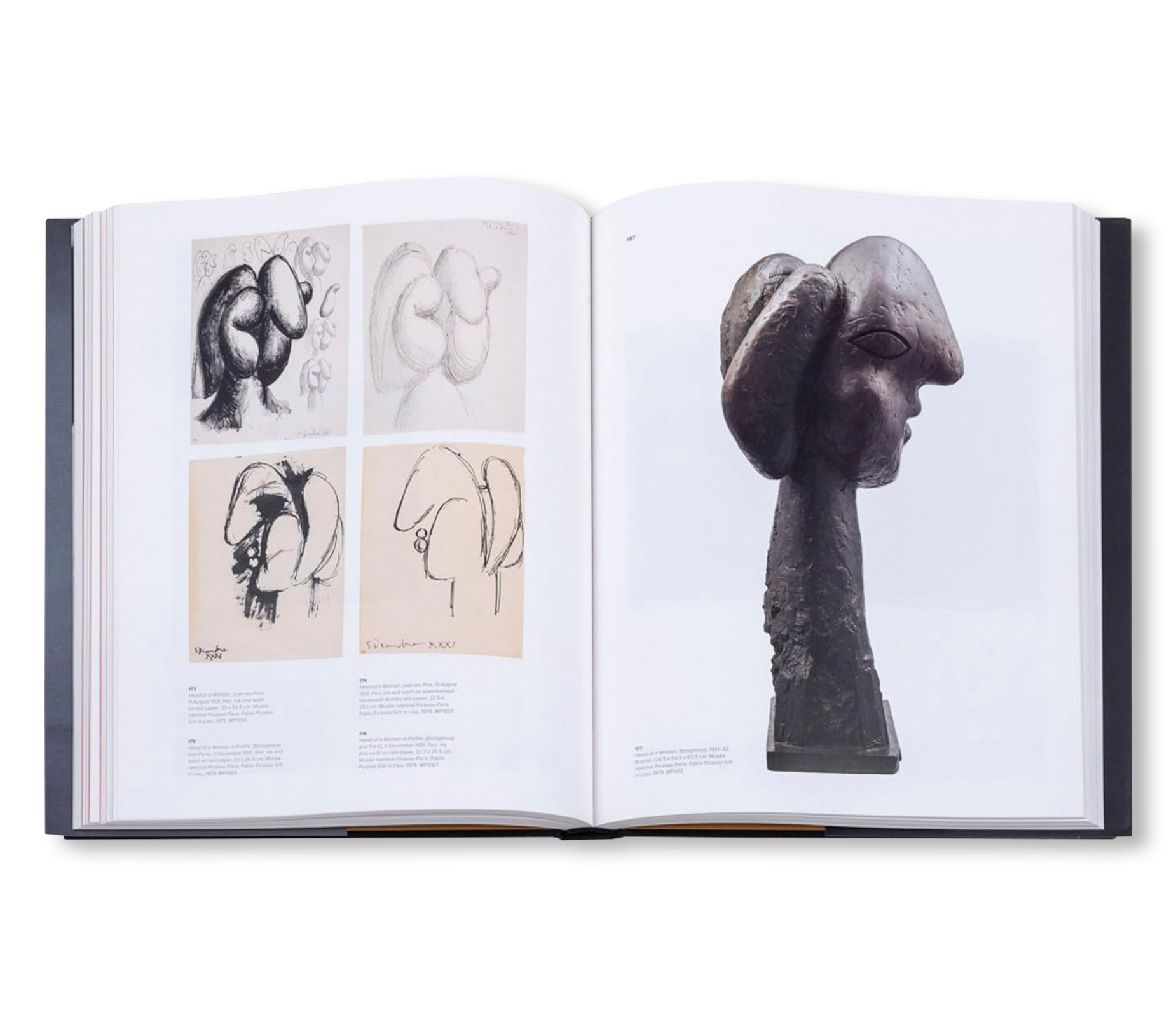 PICASSO AND PAPER by Pablo Picasso [SOFTCOVER]