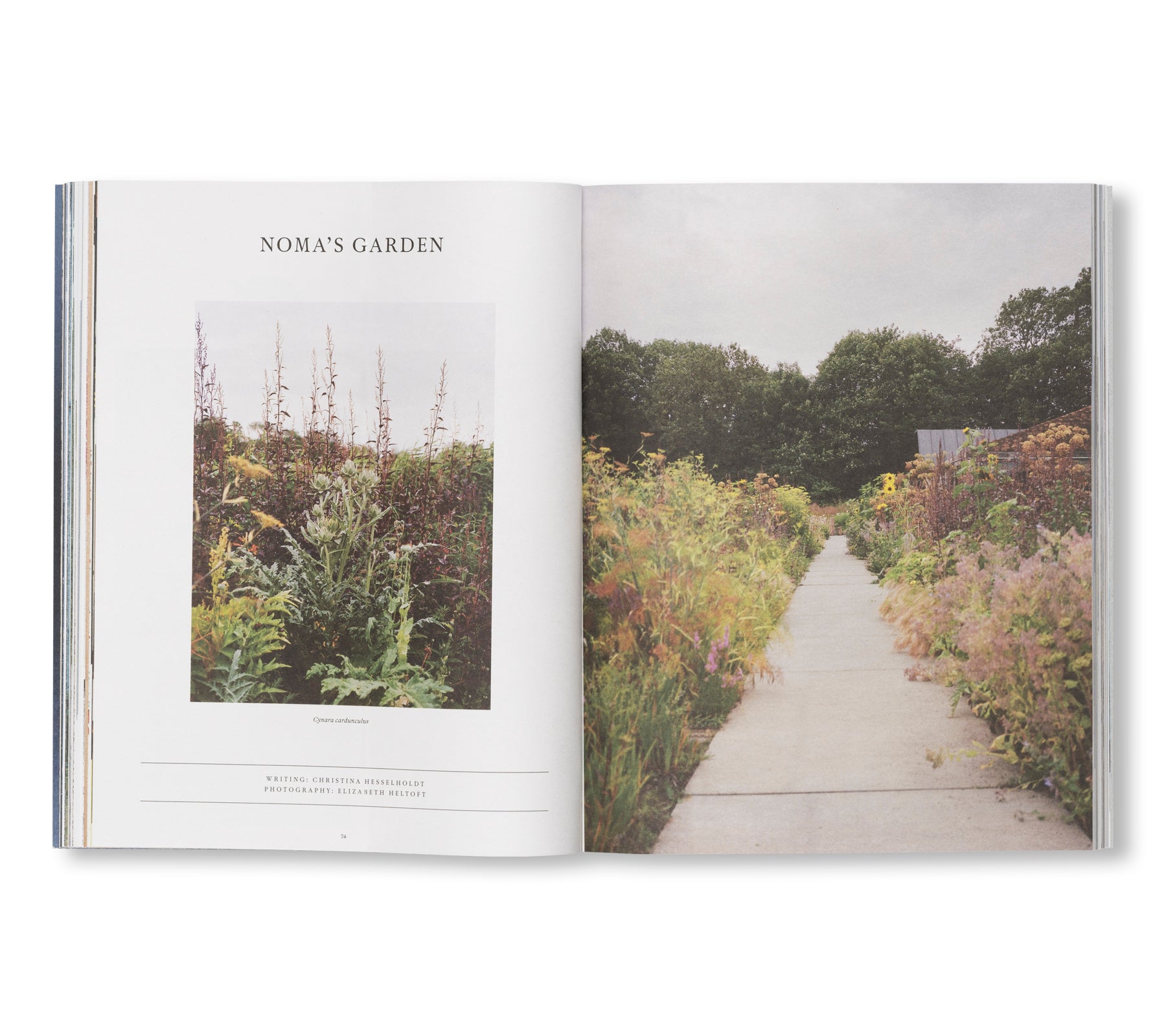 A MAGAZINE CURATED BY CECILIE BAHNSEN