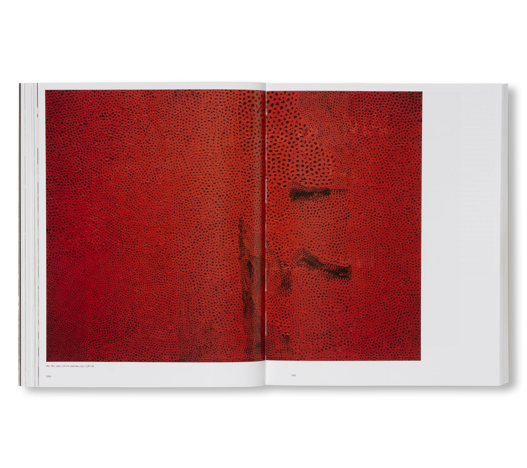 YAYOI KUSAMA by Yayoi Kusama [ENGLISH EDITION] (HATJE CANTZ)