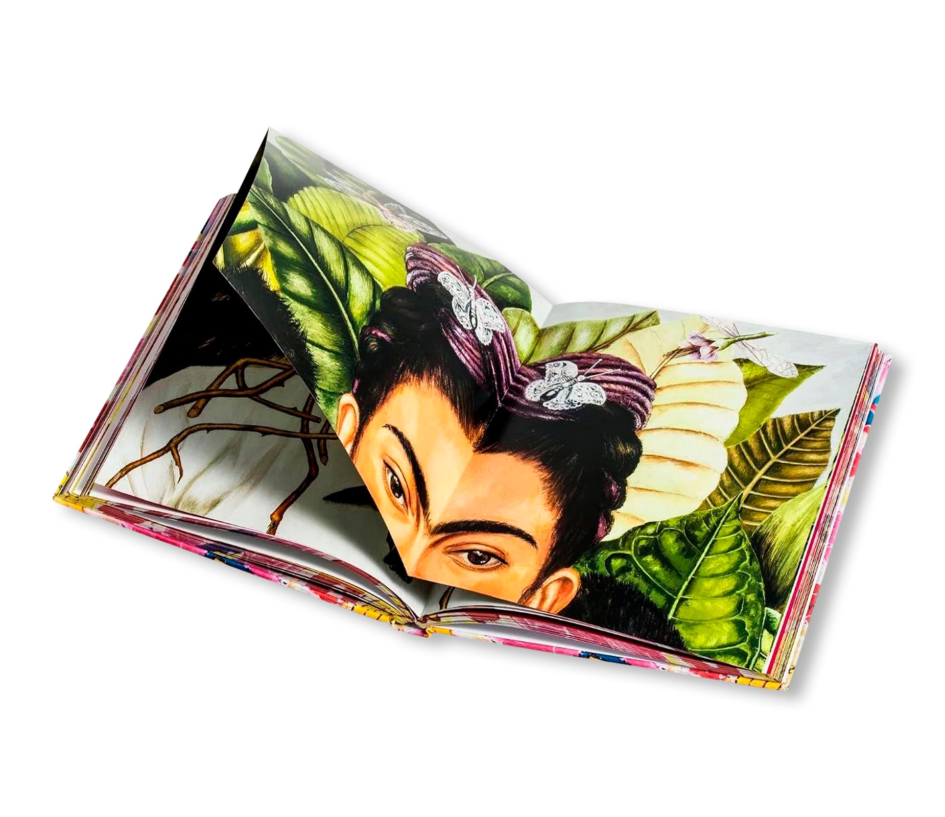 KAHLO - THE BIGGER PICTURE by Inès Boittiaux