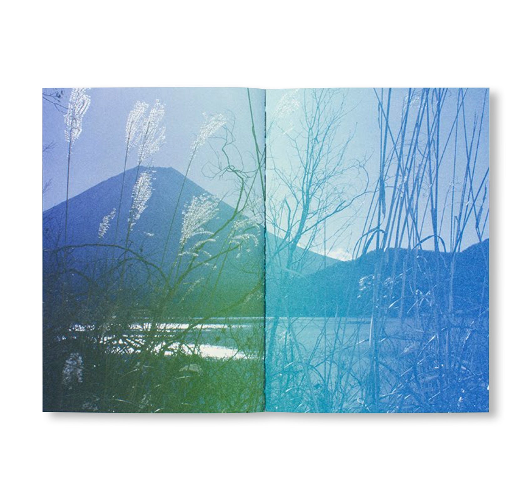 FUJI by Fanette Mellier, Clément Vauchez