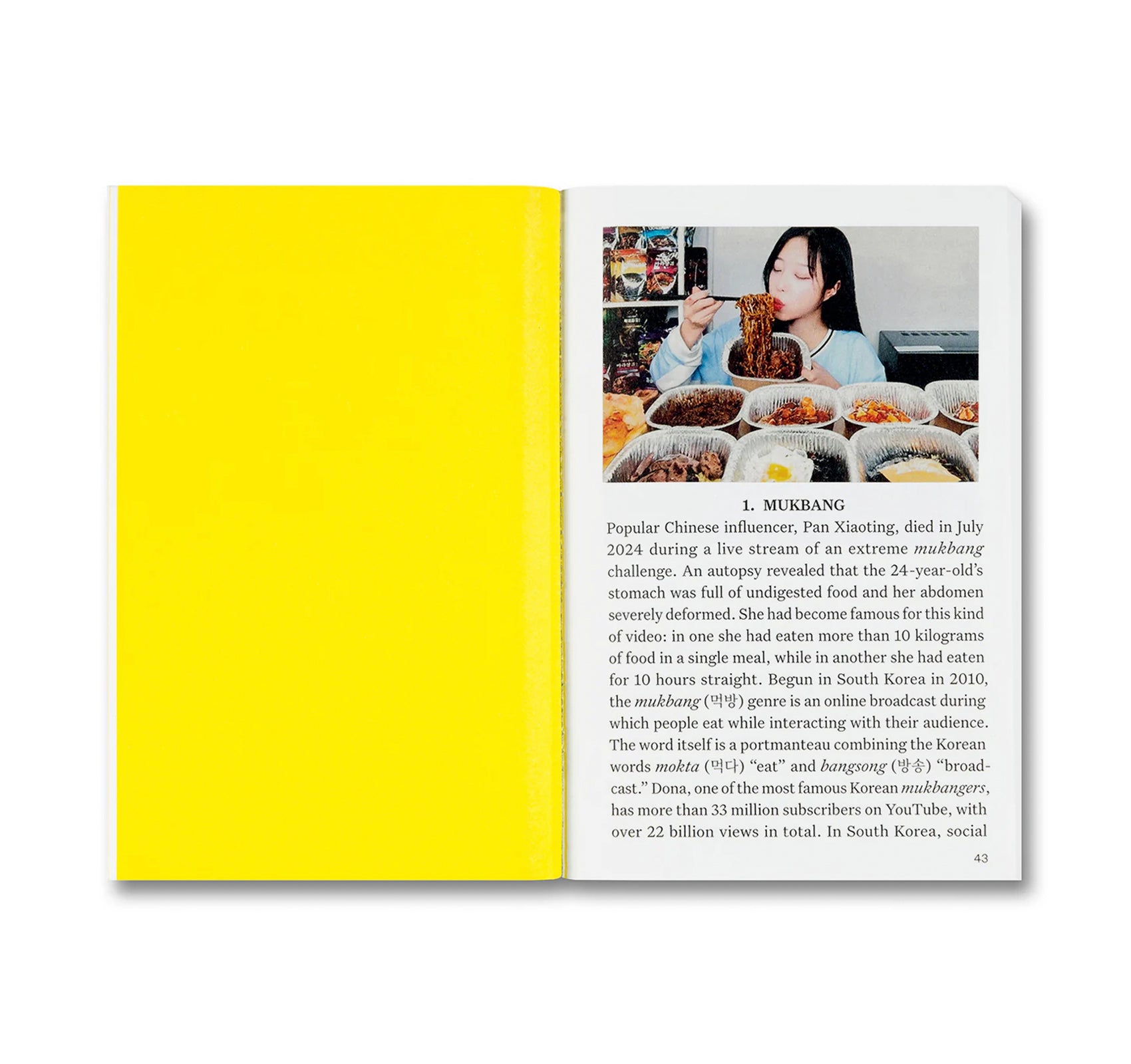 IRRATIONAL: A VISUAL DIRECTORY TO A WORLD WITH NO REASON by Francesco Jodice & Francesco Zanot