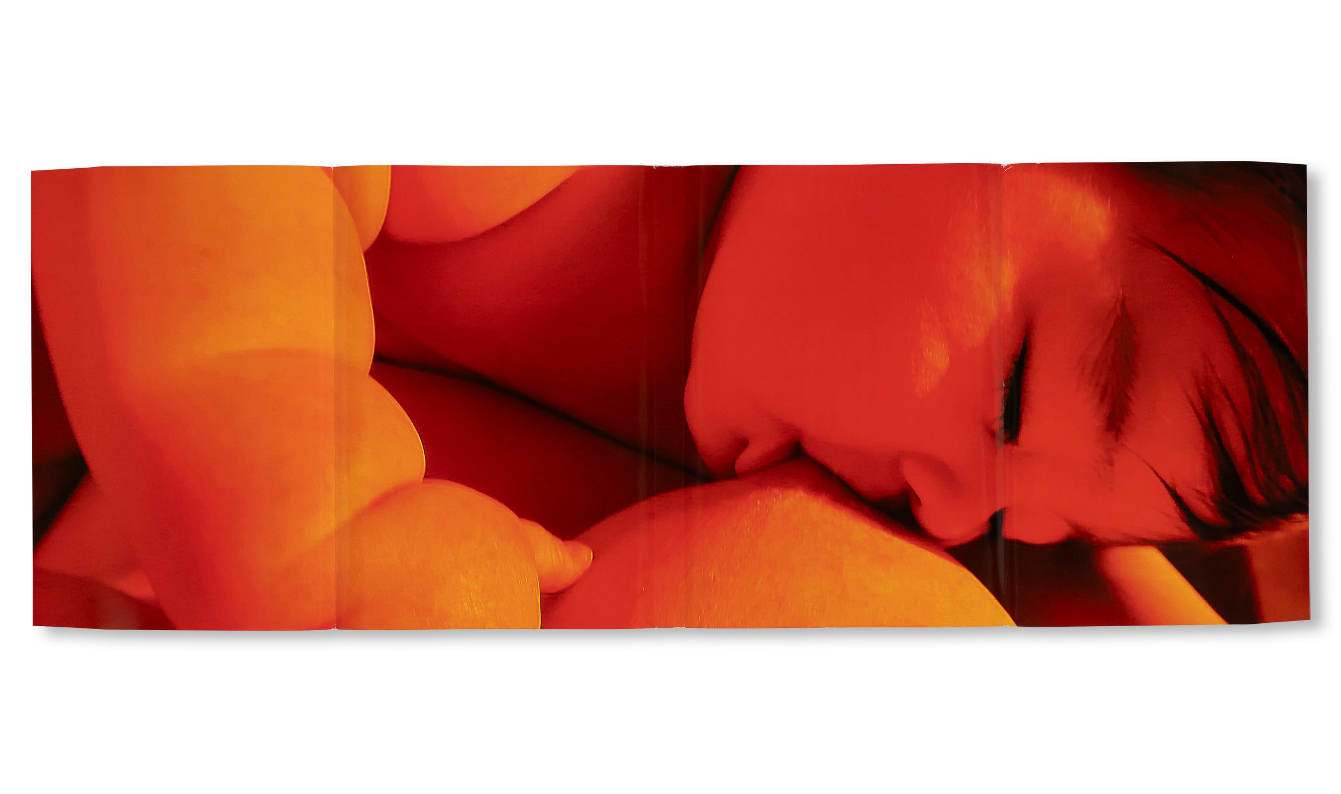 MY BLOODY HAND by Momo Okabe [SIGNED]