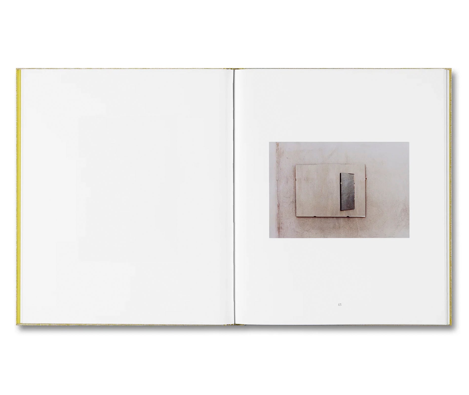 LUIGI GHIRRI FELICITÀ by Alessio Bolzoni, Luca Guadagnino