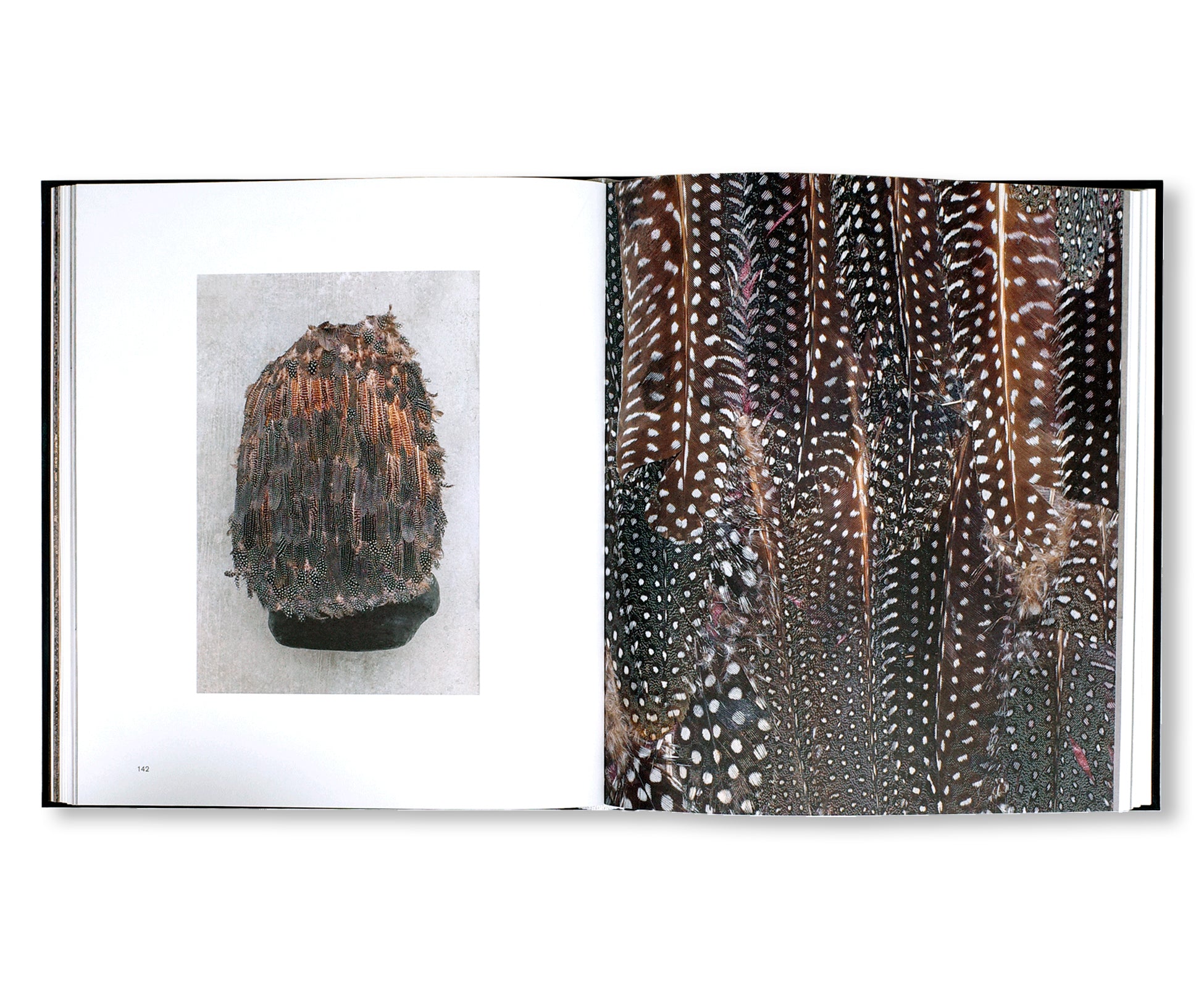 SOLANGE PESSOA (2023) by Solange Pessoa