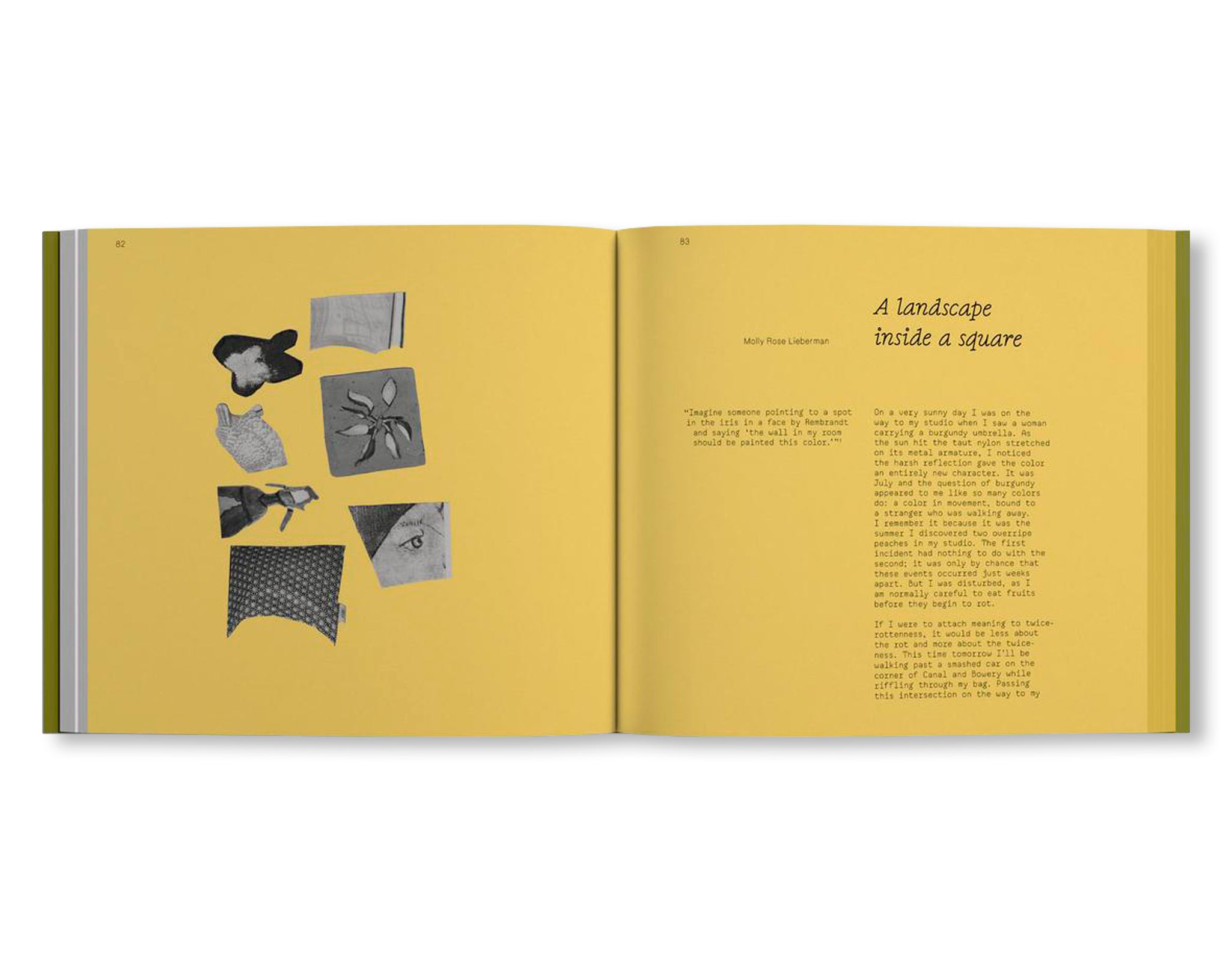 A LANDSCAPE SHREDDED by Molly Rose Lieberman