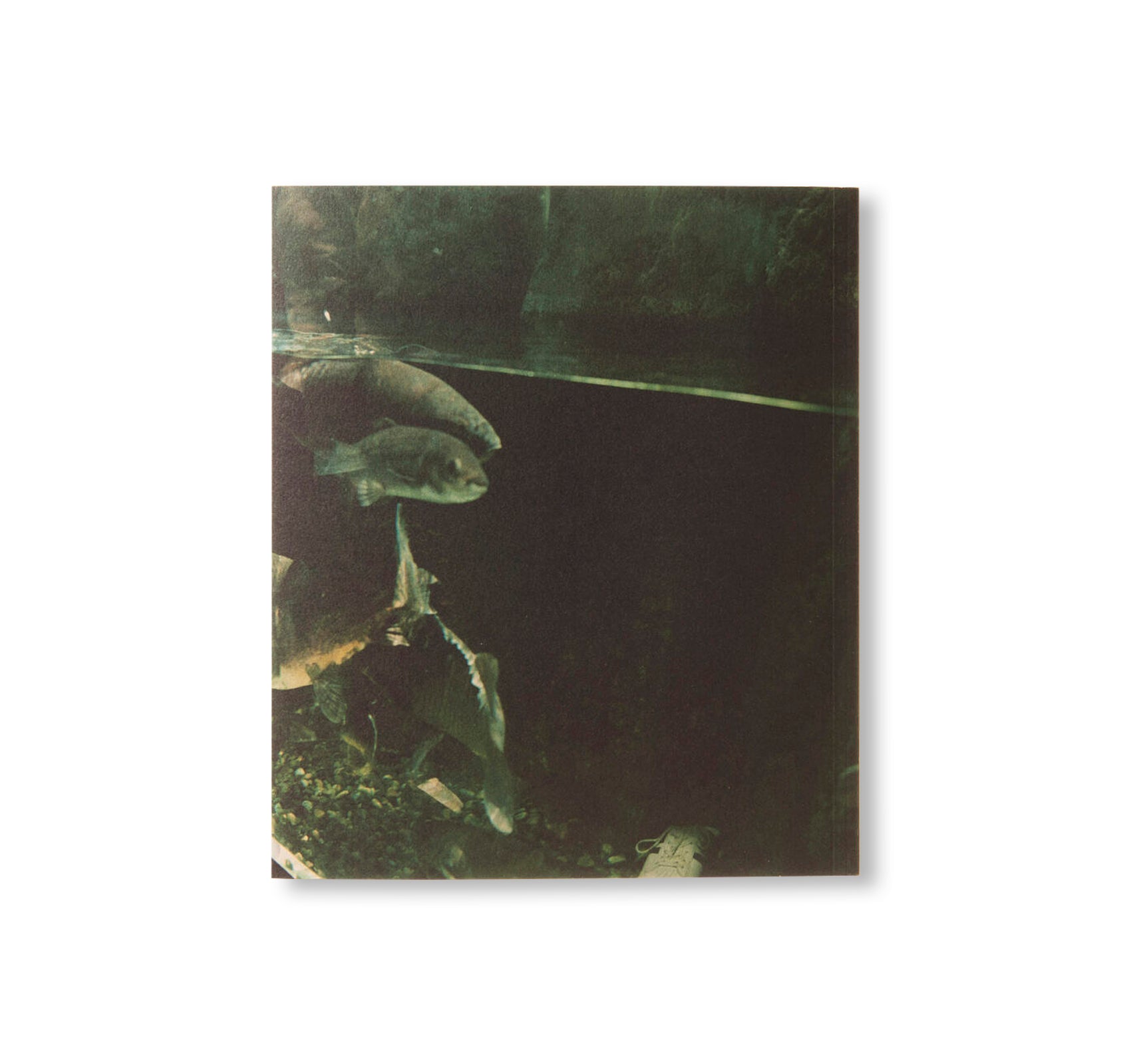 SMALL MYTHS by Mikiko Hara