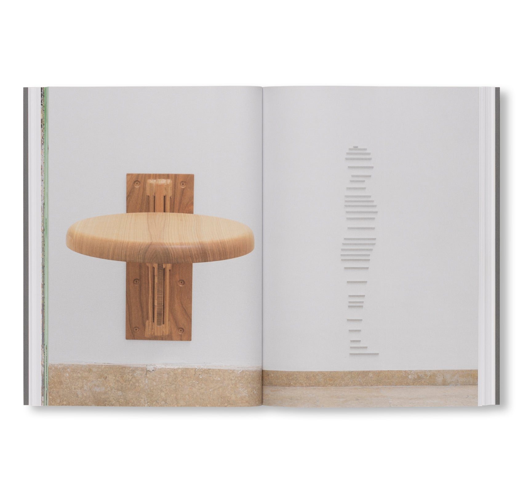 THE RUIN. THE GERMAN CONTRIBUTION TO THE 61ST VENICE BIENNALE by Henrike Naumann, Sung Tieu