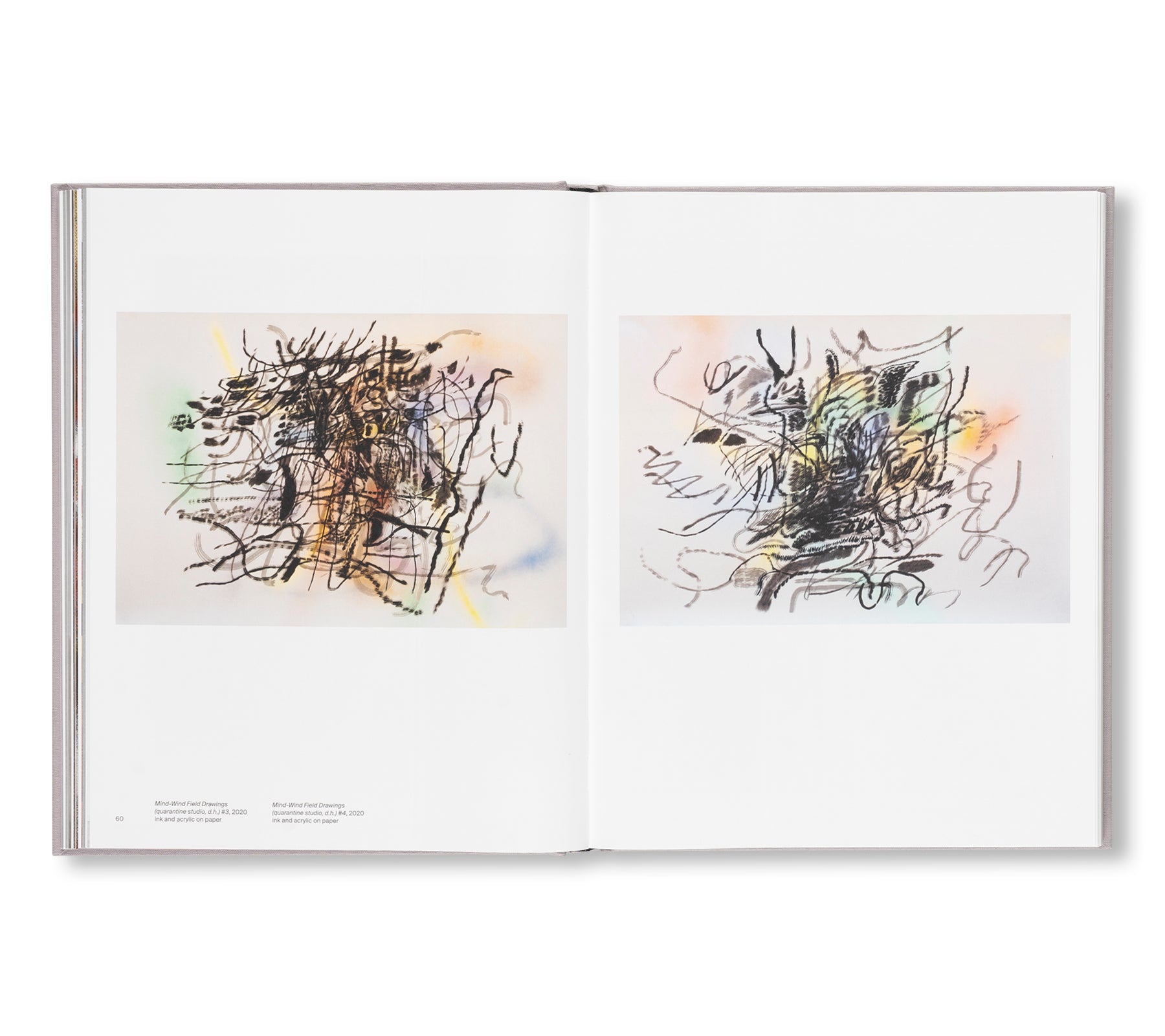 A TRANSCORE OF THE RADICAL IMAGINATORY by Julie Mehretu
