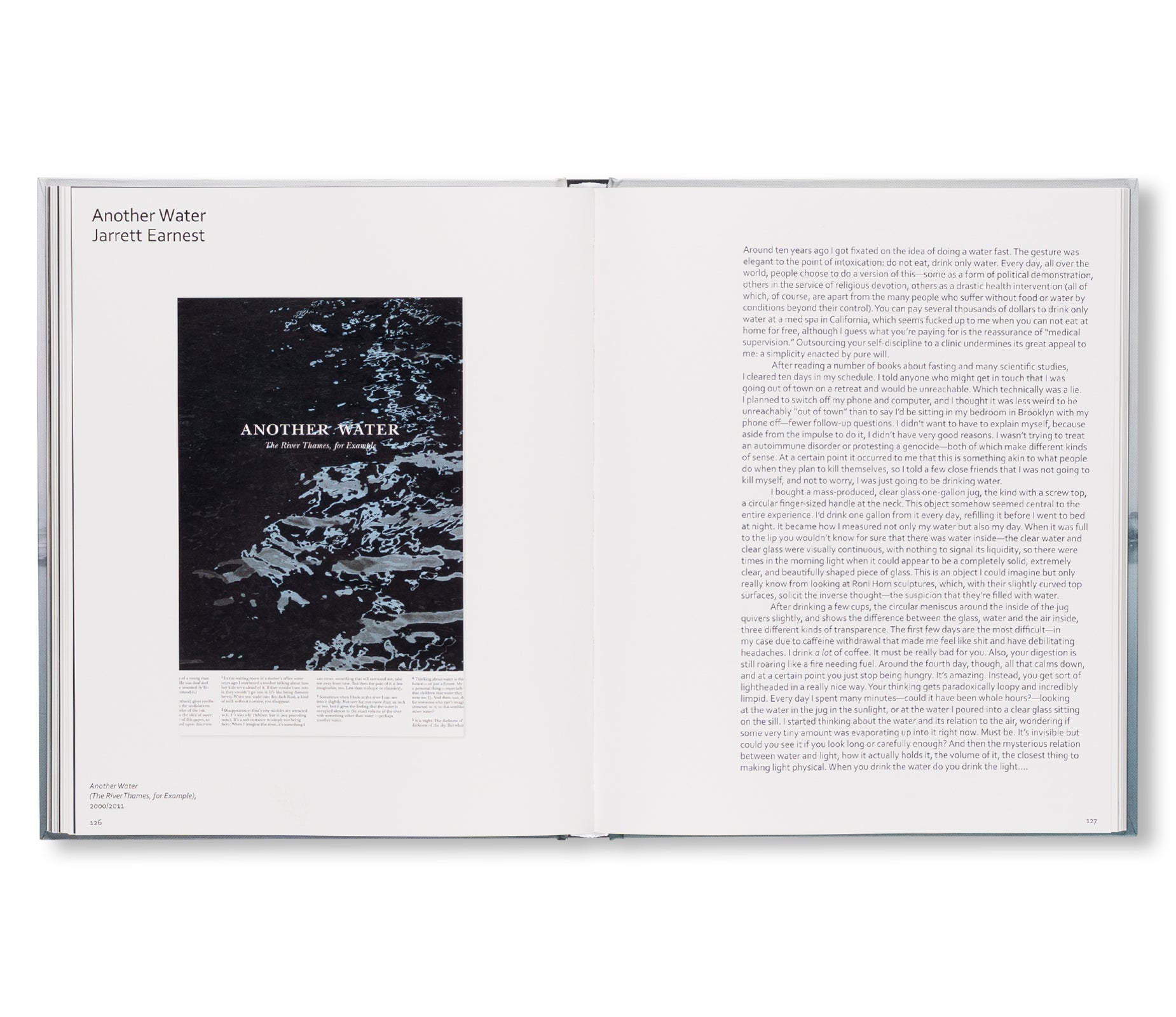 RONI HORN: WATER WATER ON THE WALL, YOU’RE THE FAIREST OF THEM ALL by Roni Horn
