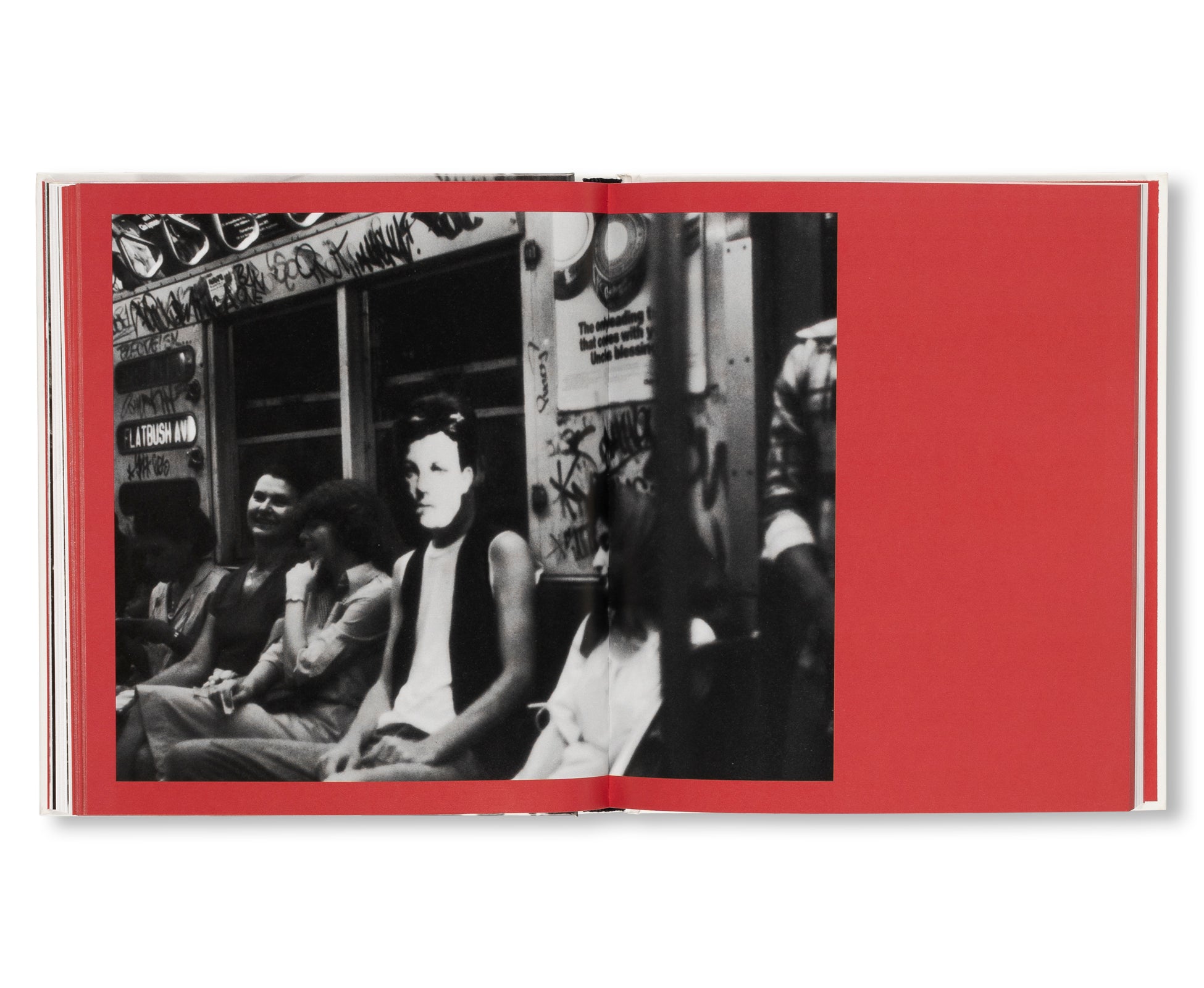 ARTHUR RIMBAUD IN NEW YORK by David Wojnarowicz