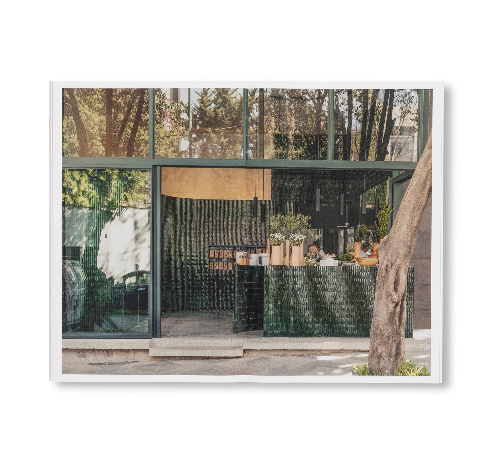SUSPENDED MOMENT: THE ARCHITECTURE OF FRIDA ESCOBEDO by Frida Escobedo [ENGLISH EDITION]