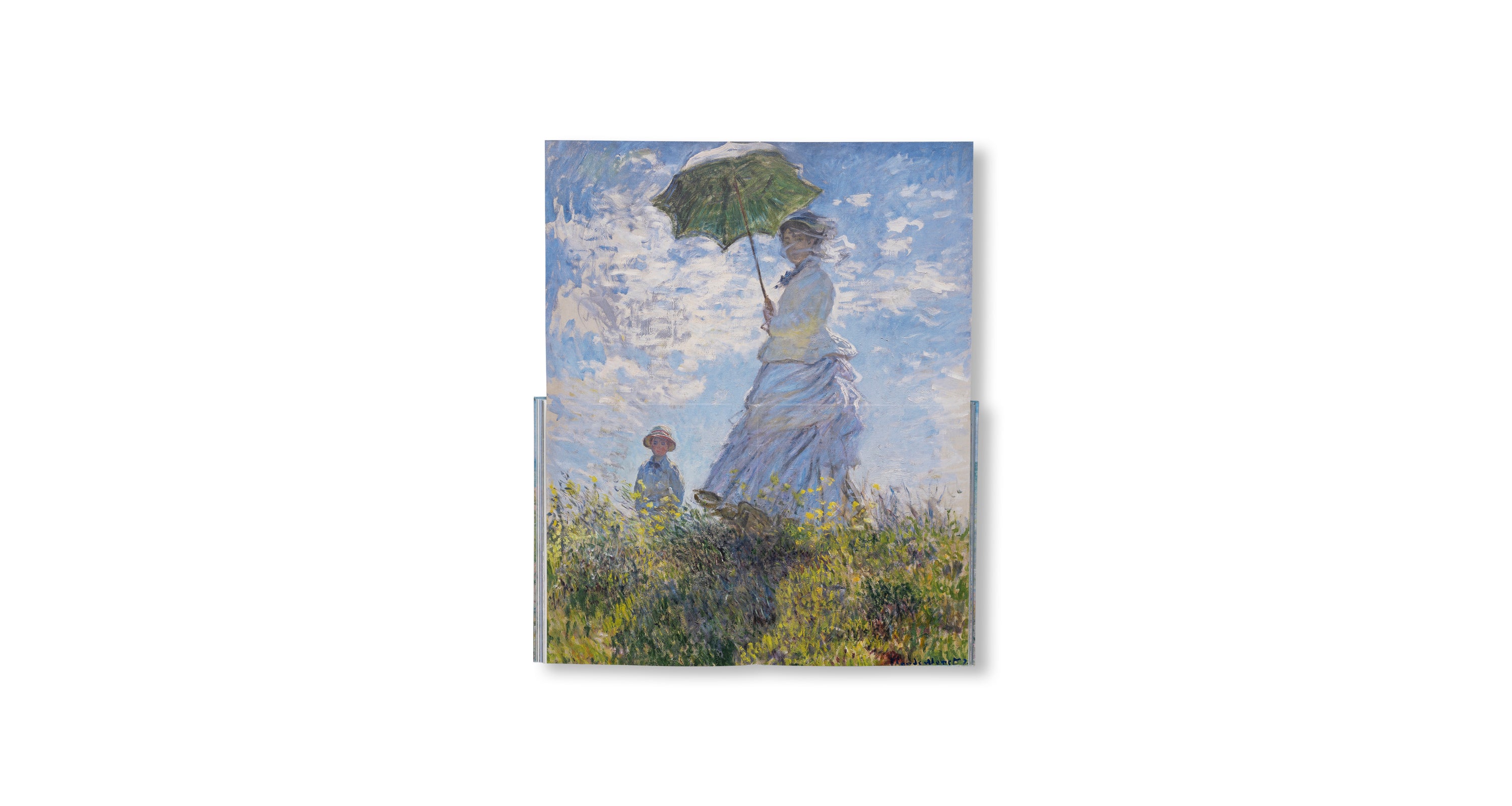 MONET - THE BIGGER PICTURE by Anne Sefrioui